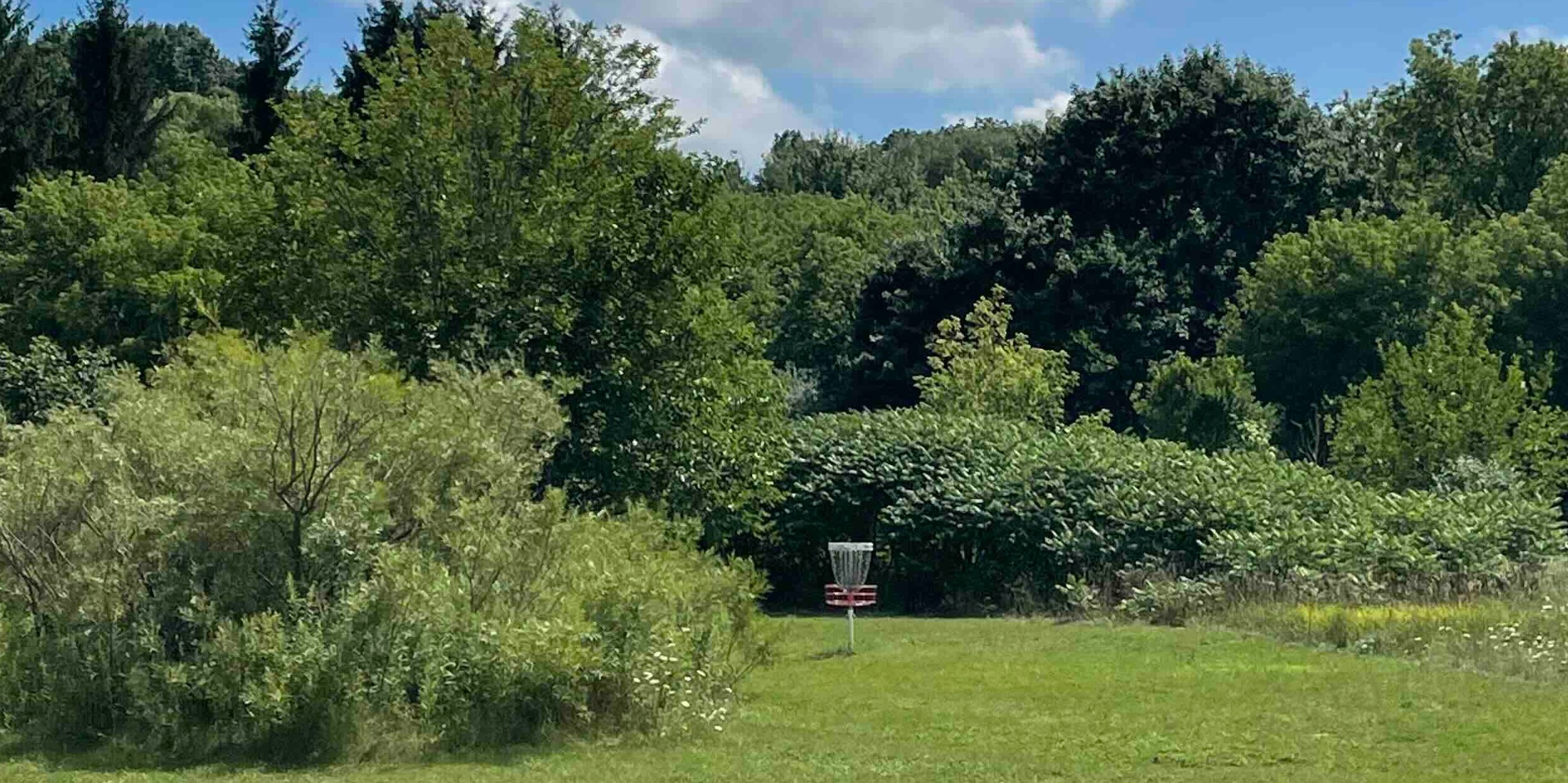 LDGA Random Doubles League