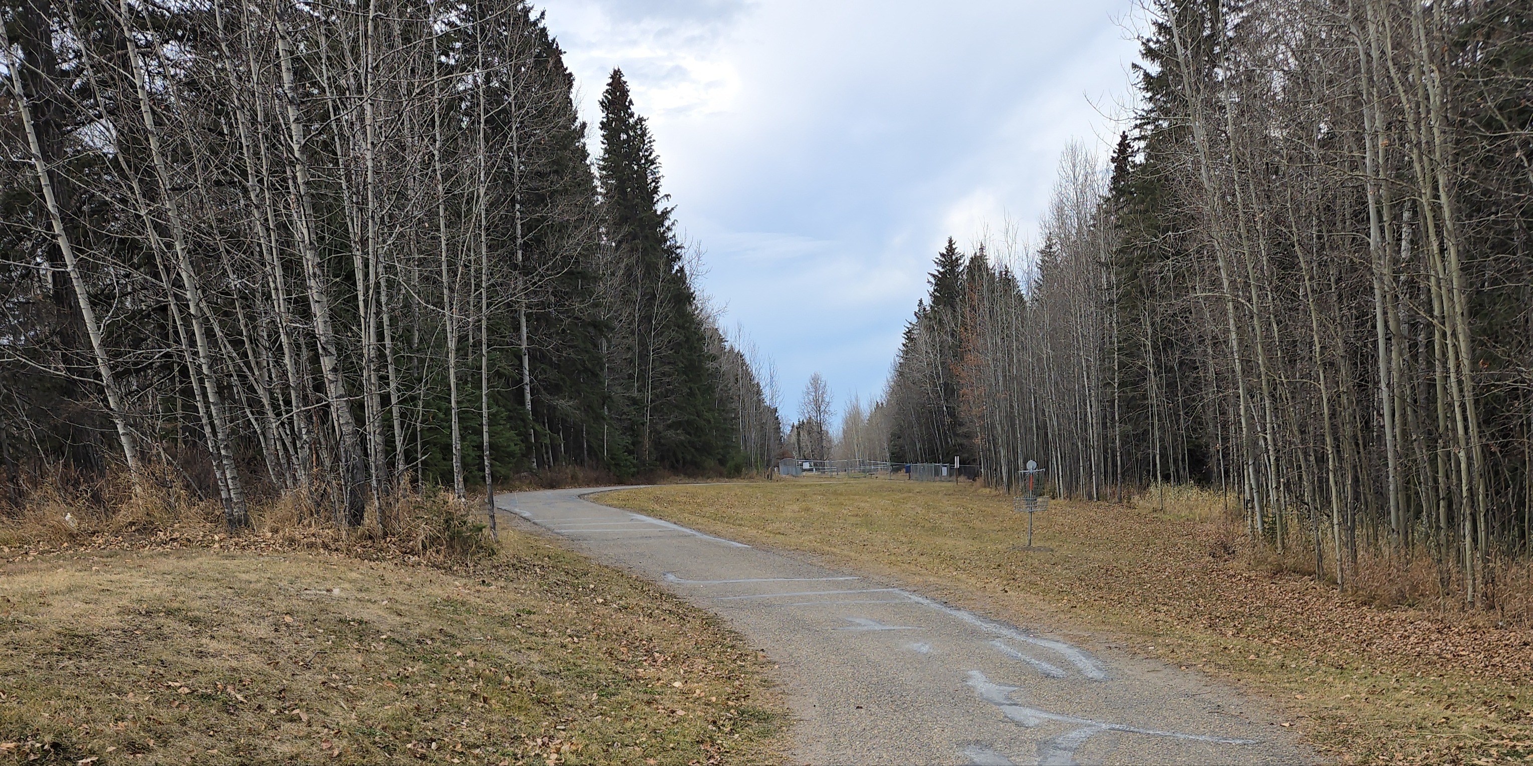 Winter Casual Sundays - Winter Casual Sundays