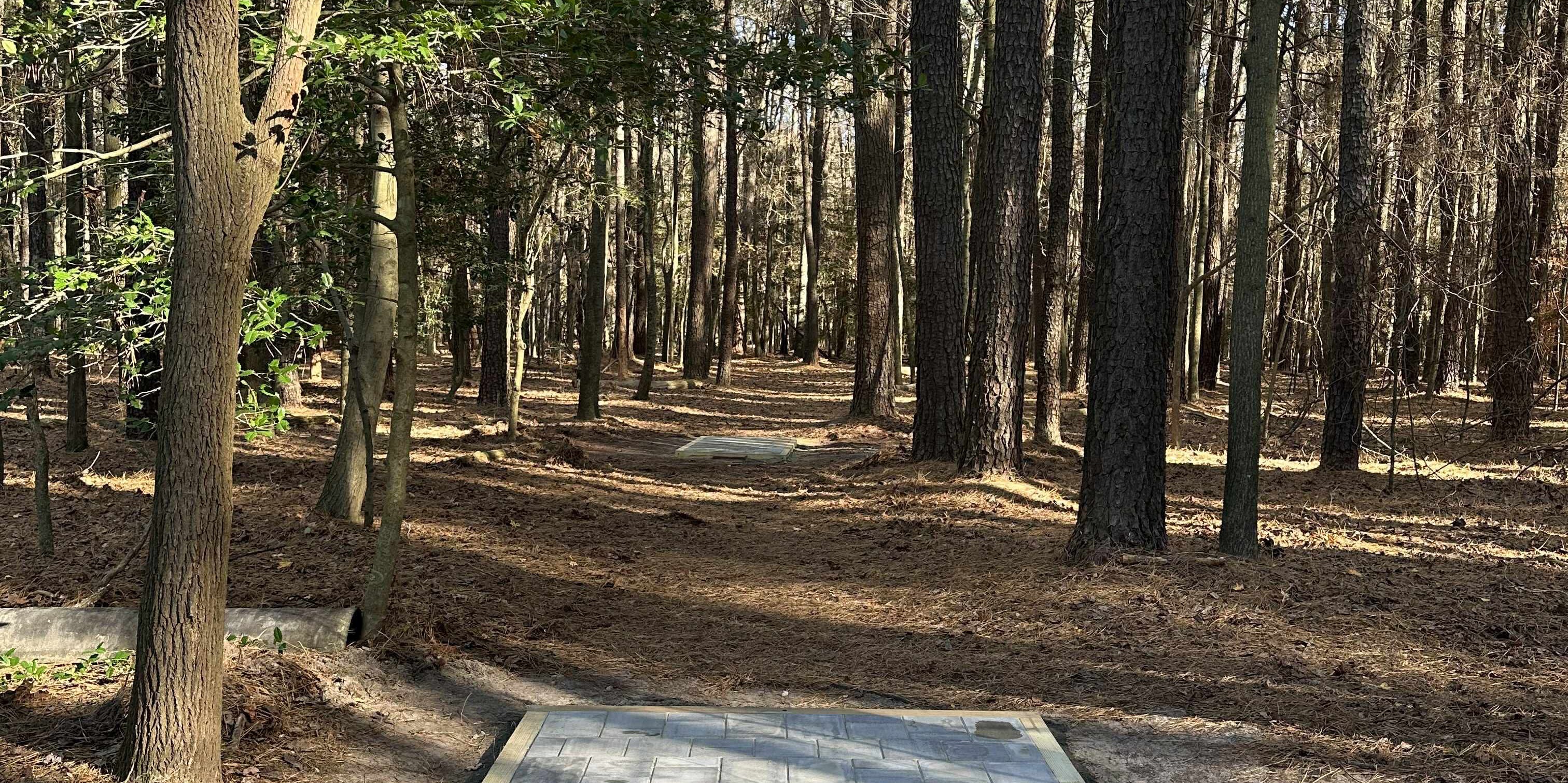 Trap Pond 2026 Tags - Trap Pond 2026 Tags