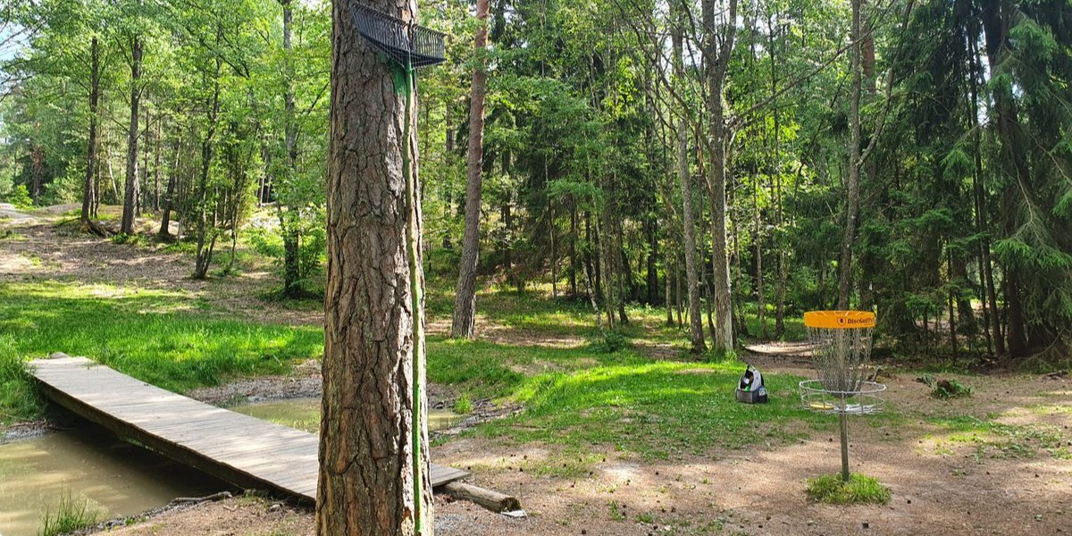 Lillsjön vecko disc startup - Lillsjön del 1 Öppet för alla gratis