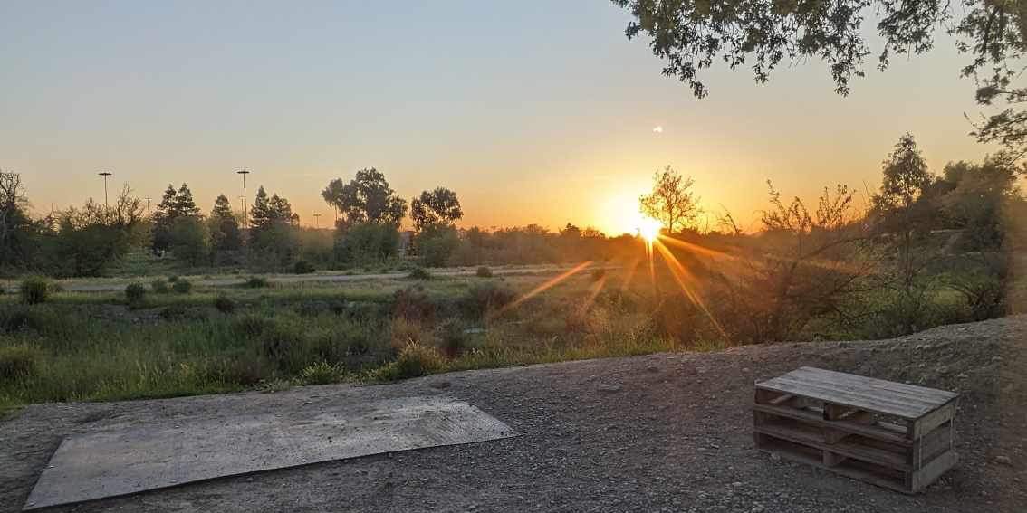 Livermore Weekly - #55