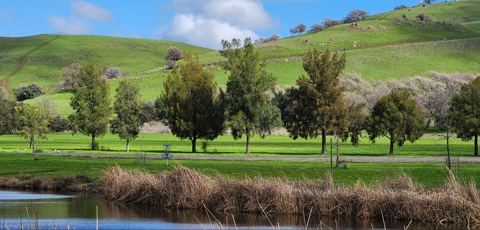 LGVDGC Bag Tag Monthly - 2026 Lagoon Valley DGC Bag Tag Round
