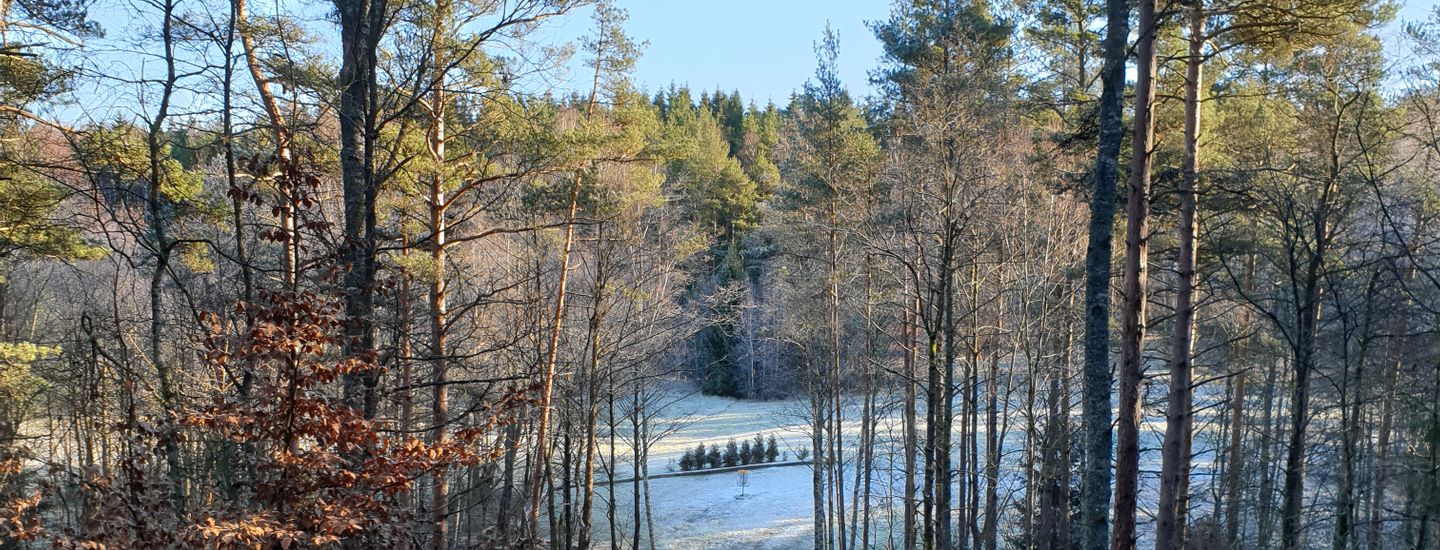 Team Bert Johnnys Tag Match