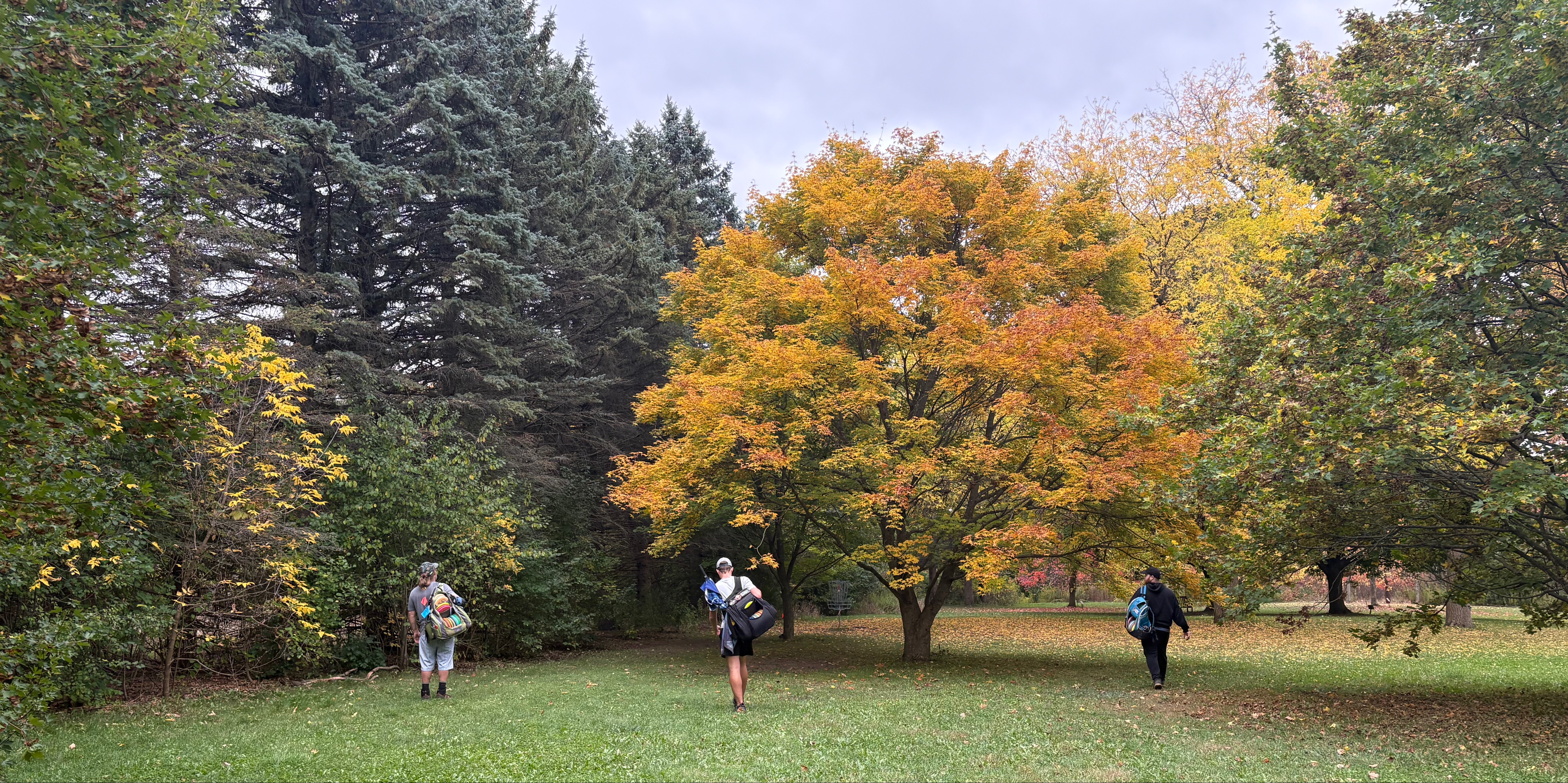 Guelph Royal City Rockers D.G.C. - Sunday Service