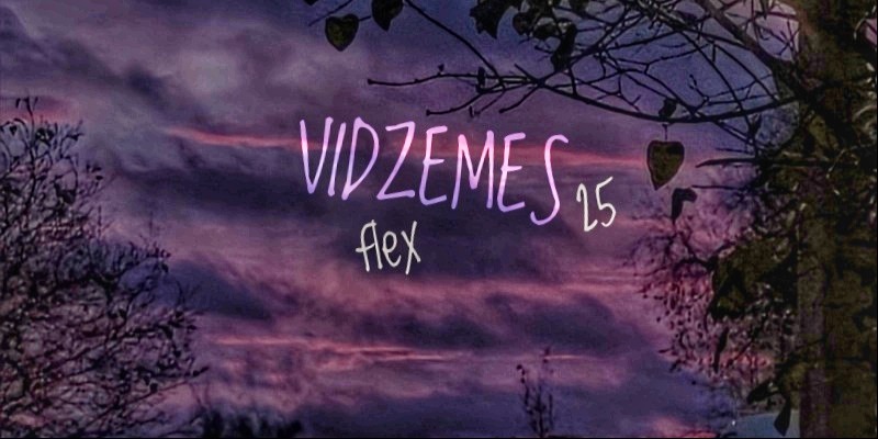 Vidzemes flex 25  - Pauku Priedes (Dzeltens)