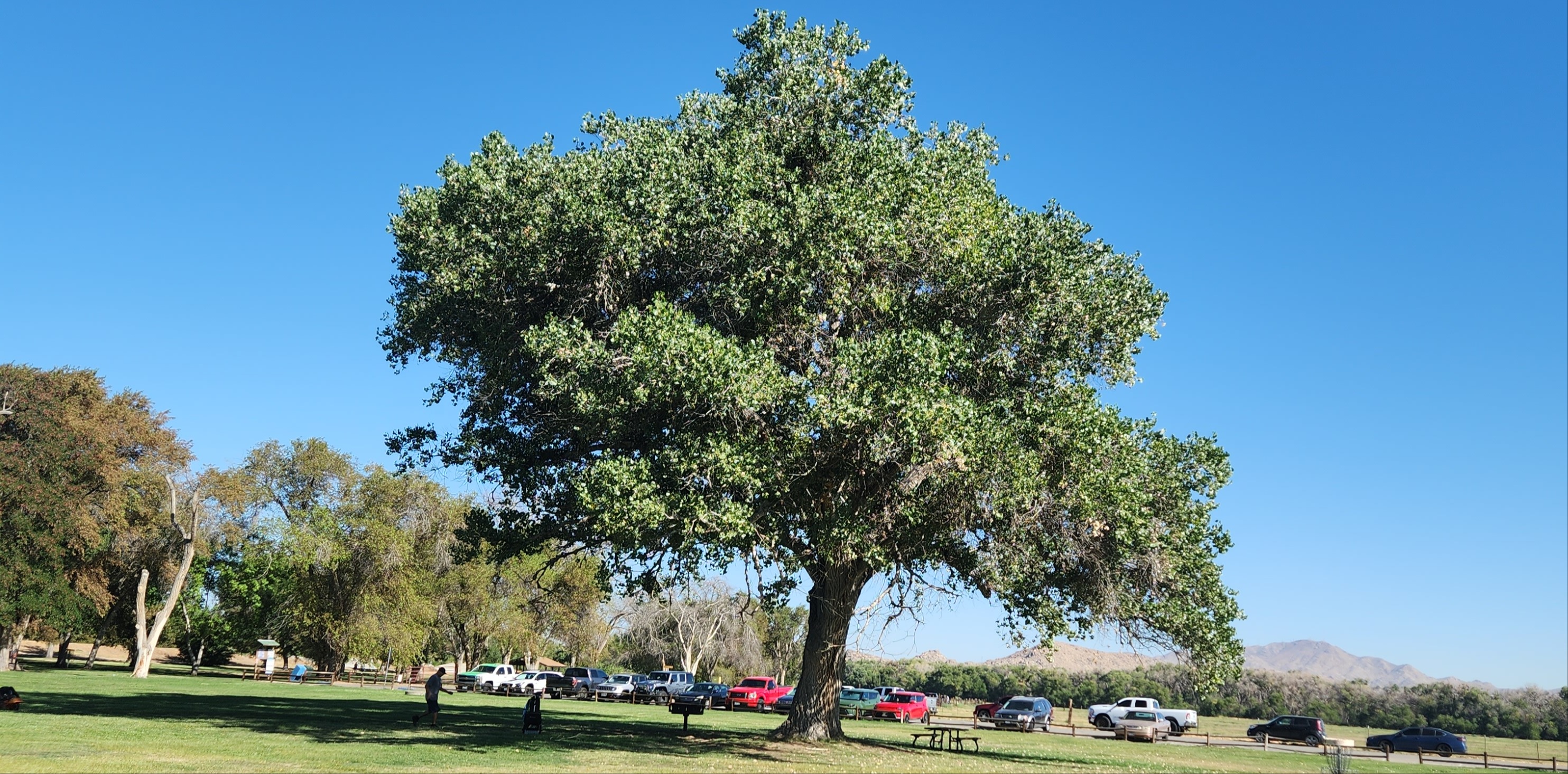 MOJAVE MISFITS HANDICAPS 2026 - Handicap side game