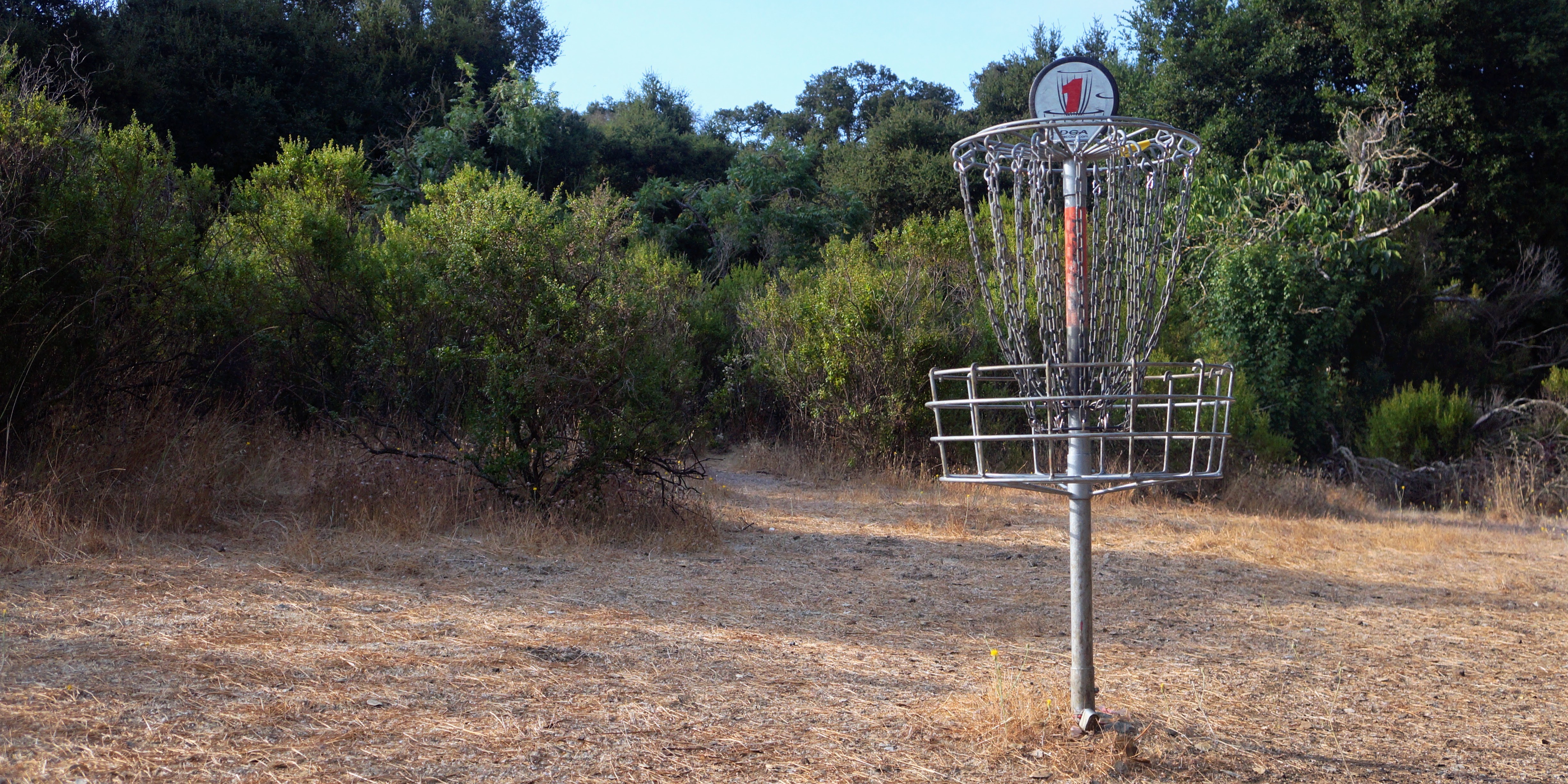 Peninsula Disc Golf Club Doubles - Peninsula Disc Golf Club Doubles