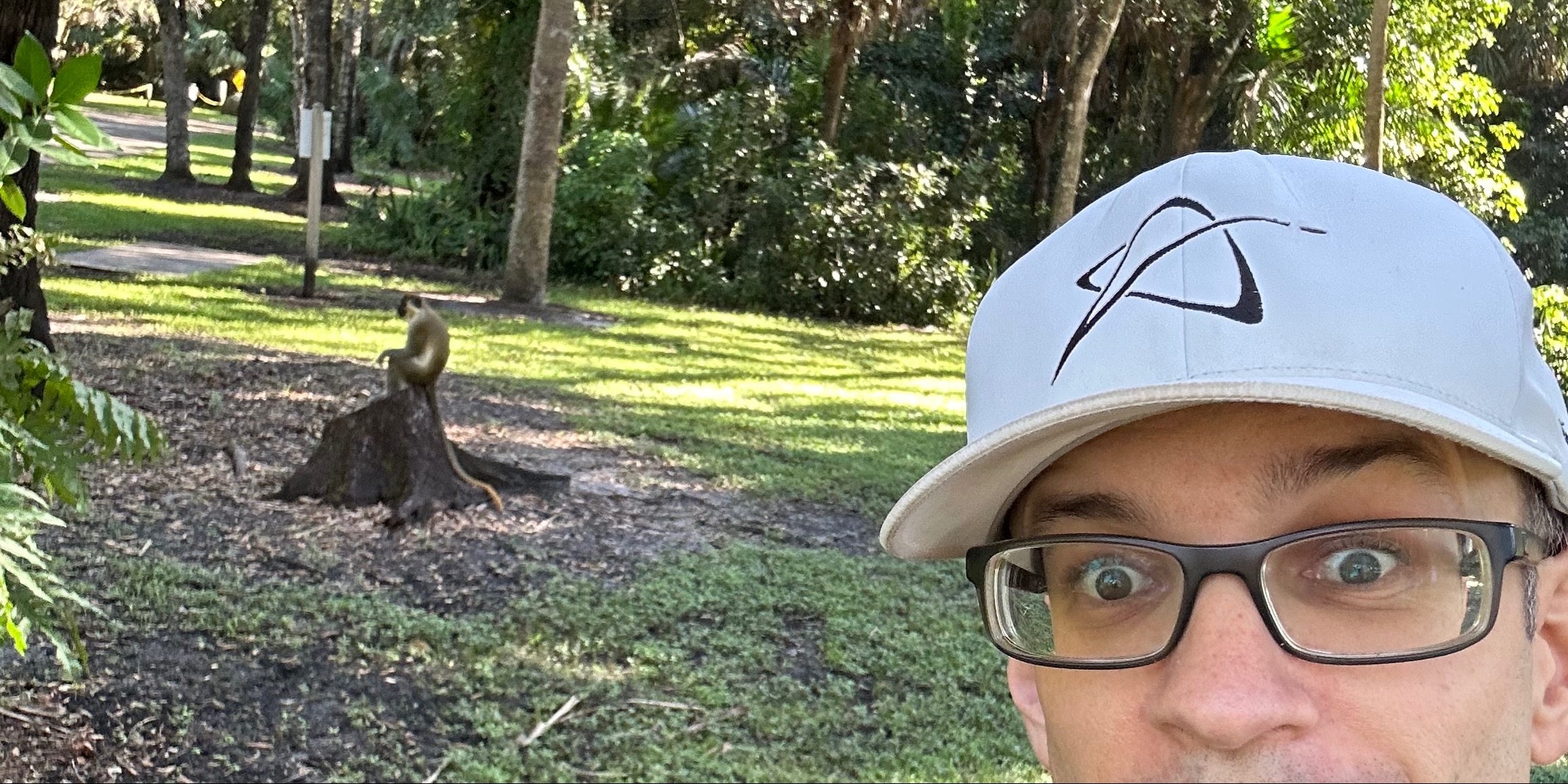 MORNINGMONKEYMADNESS - MMM