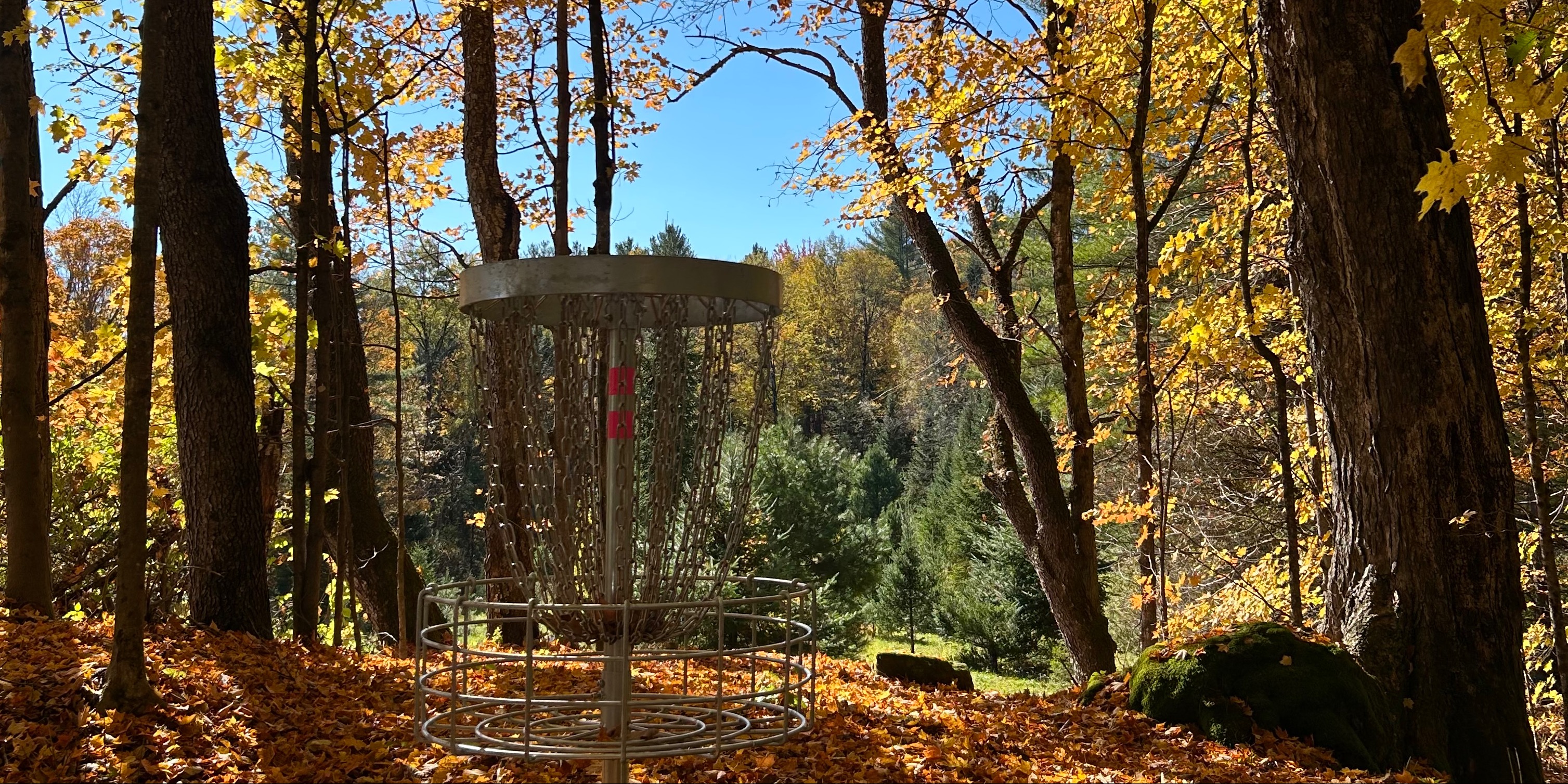 Big Rock League Night - Big Rock Random Dubs League.