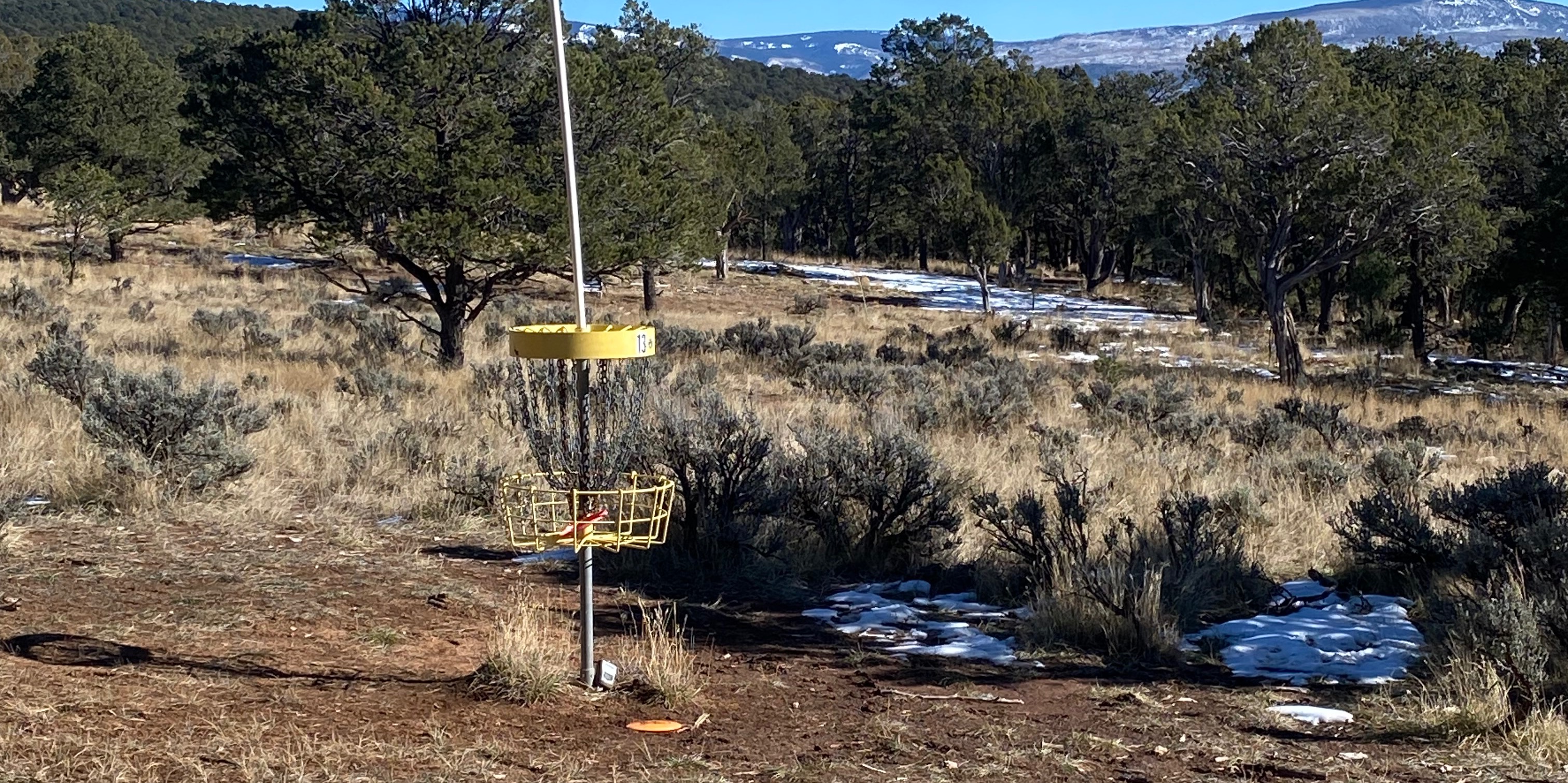 RFDGC 2026 Tags - RFDGC 2026 Tags