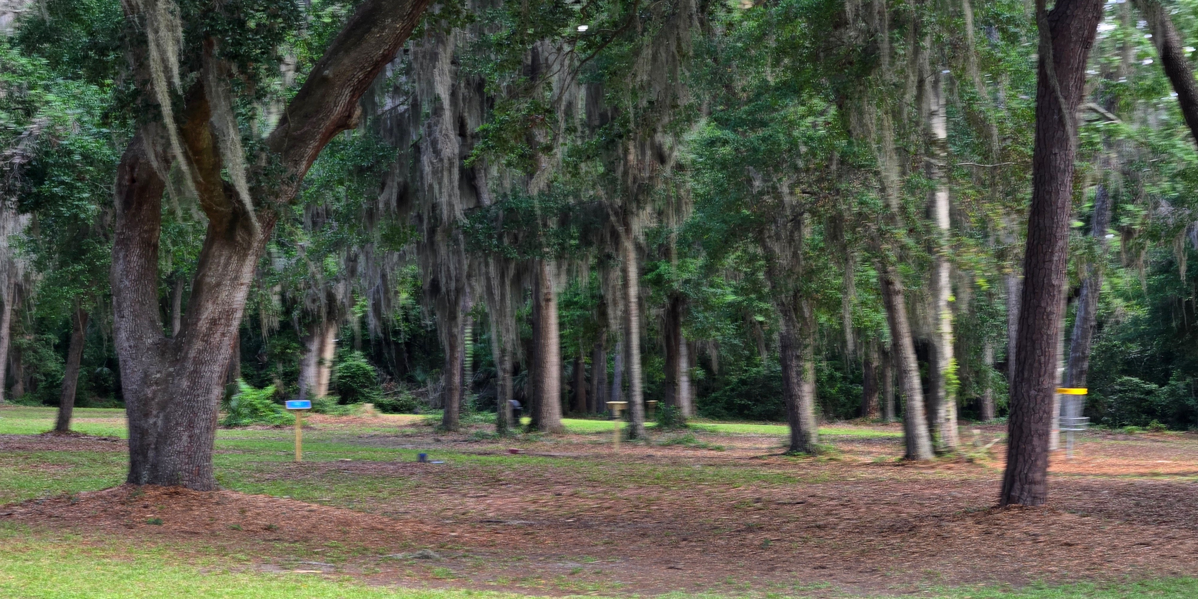 Back Island Chain Gang