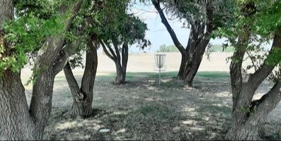 Dam Disc League