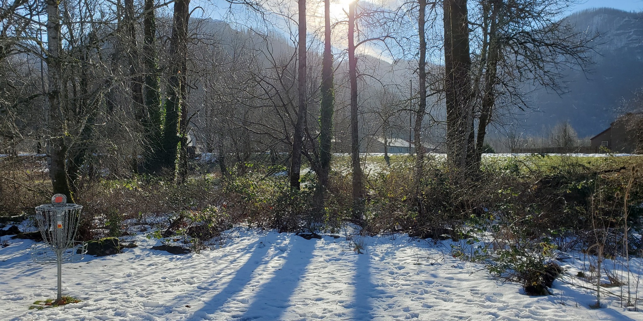 Oregon Team Disc Golf Elite