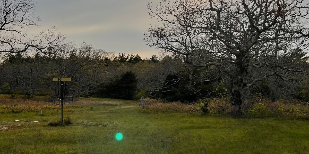 Martha's Vineyard Tuesday League - Week 7 - 20 EZ Holes