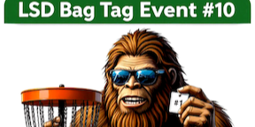 Lone Star Disc Bag Tag Challenge
