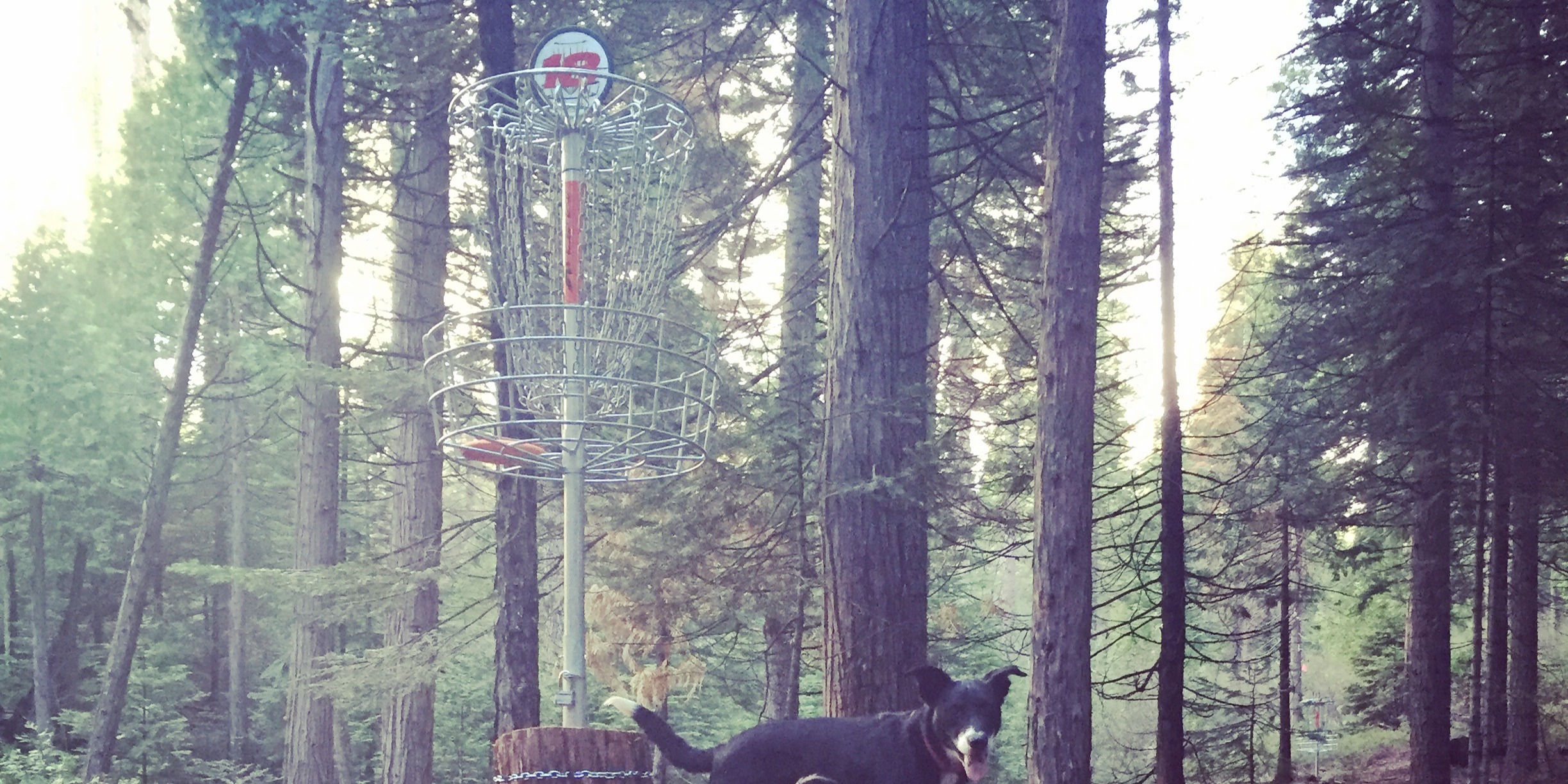 Tuolumne Winter Series