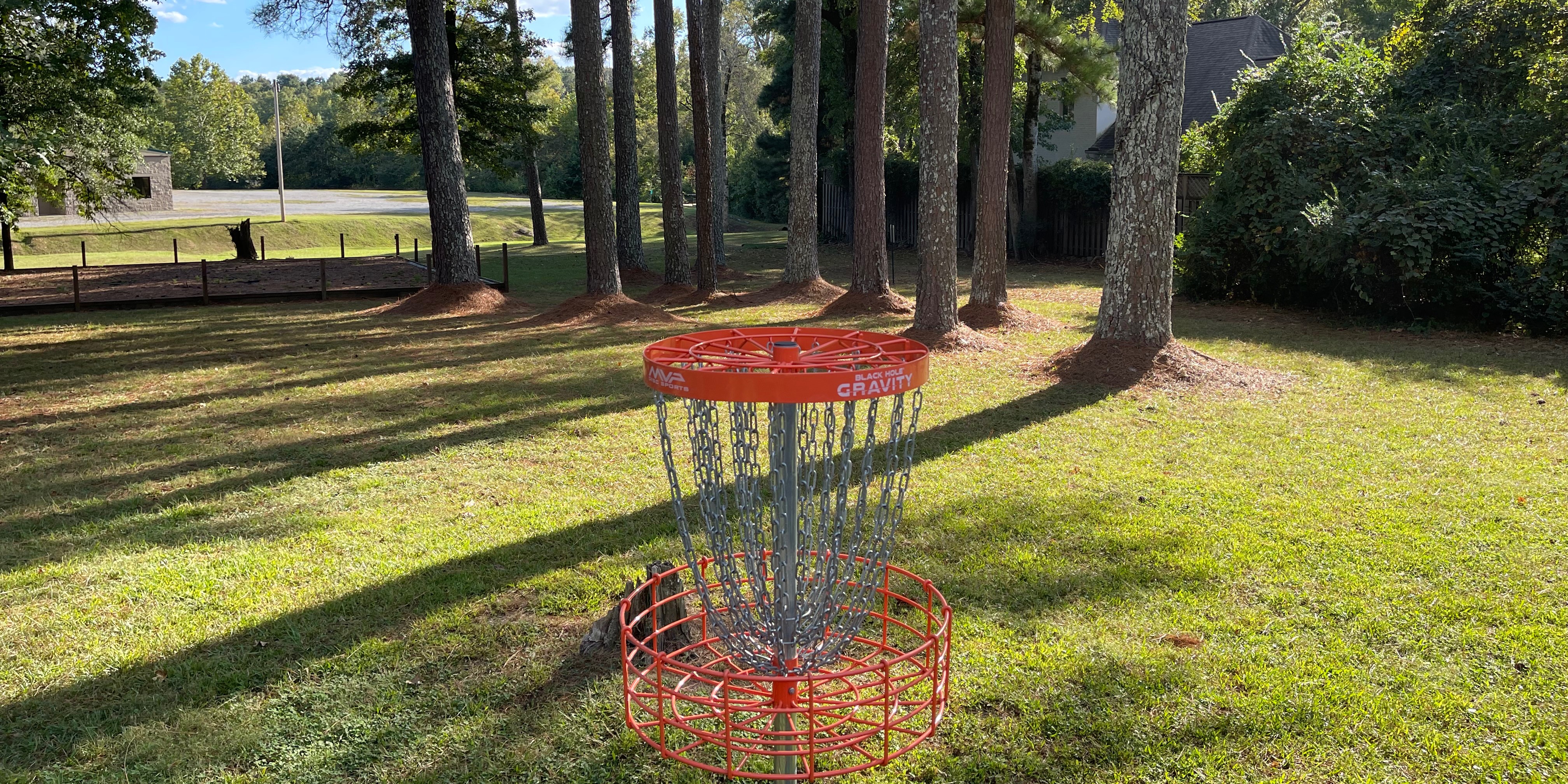 Natural State Discs Glow Tuesdays