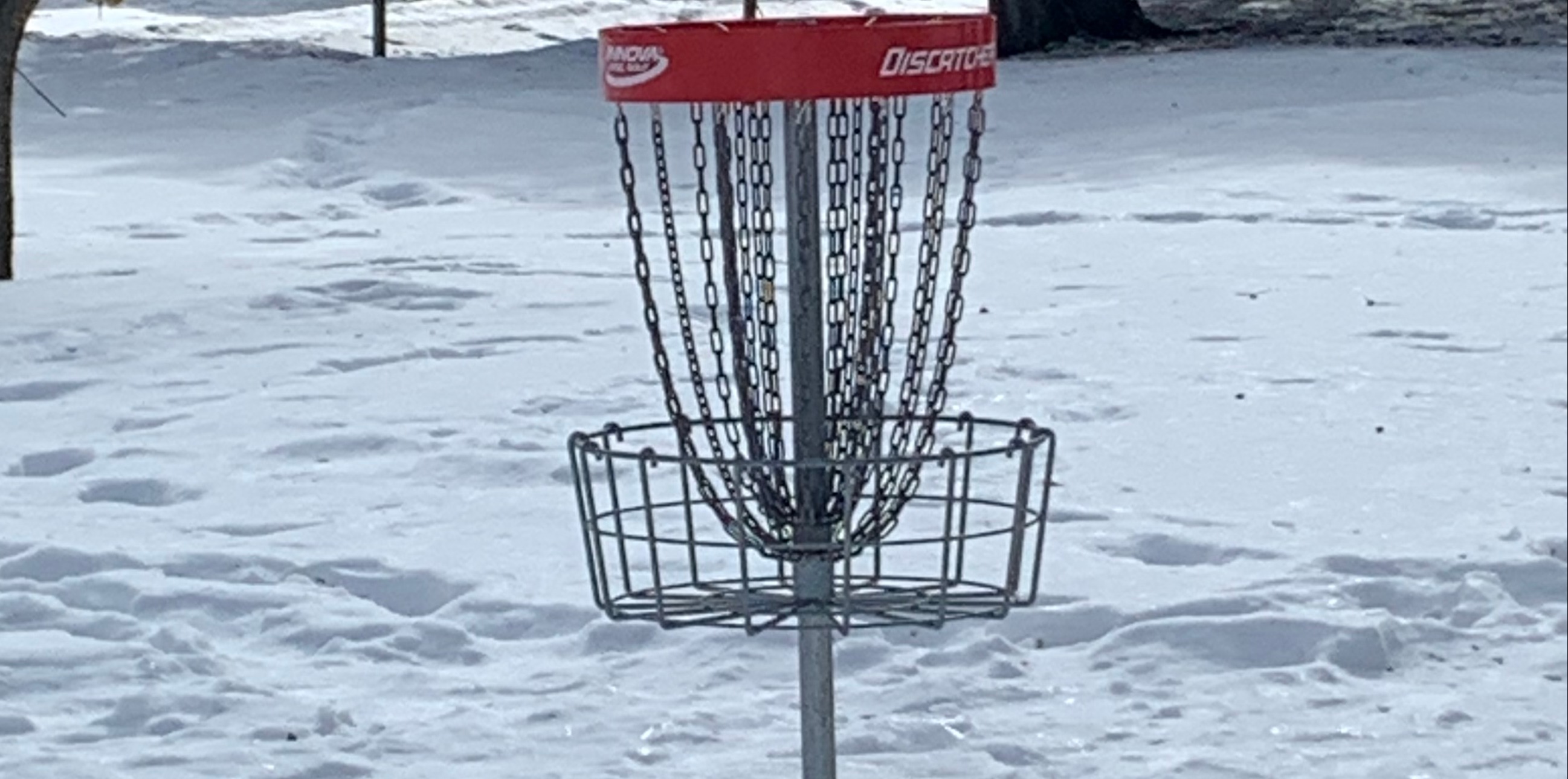 Peterborough 25/26 Diehard League - Peterborough 25/26 Diehard League