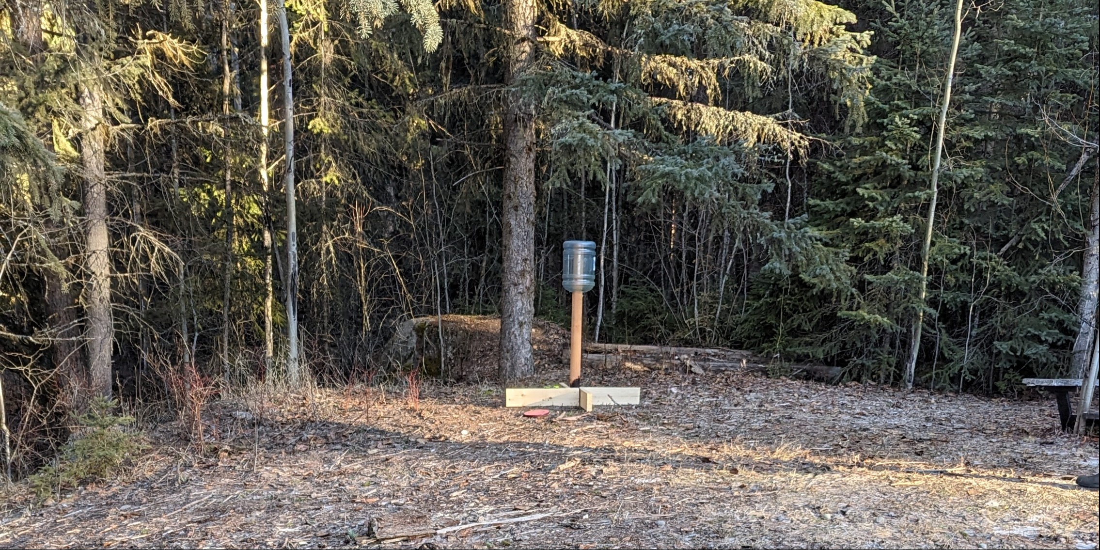Quesnel disc golf - Quesnel disc golf league play