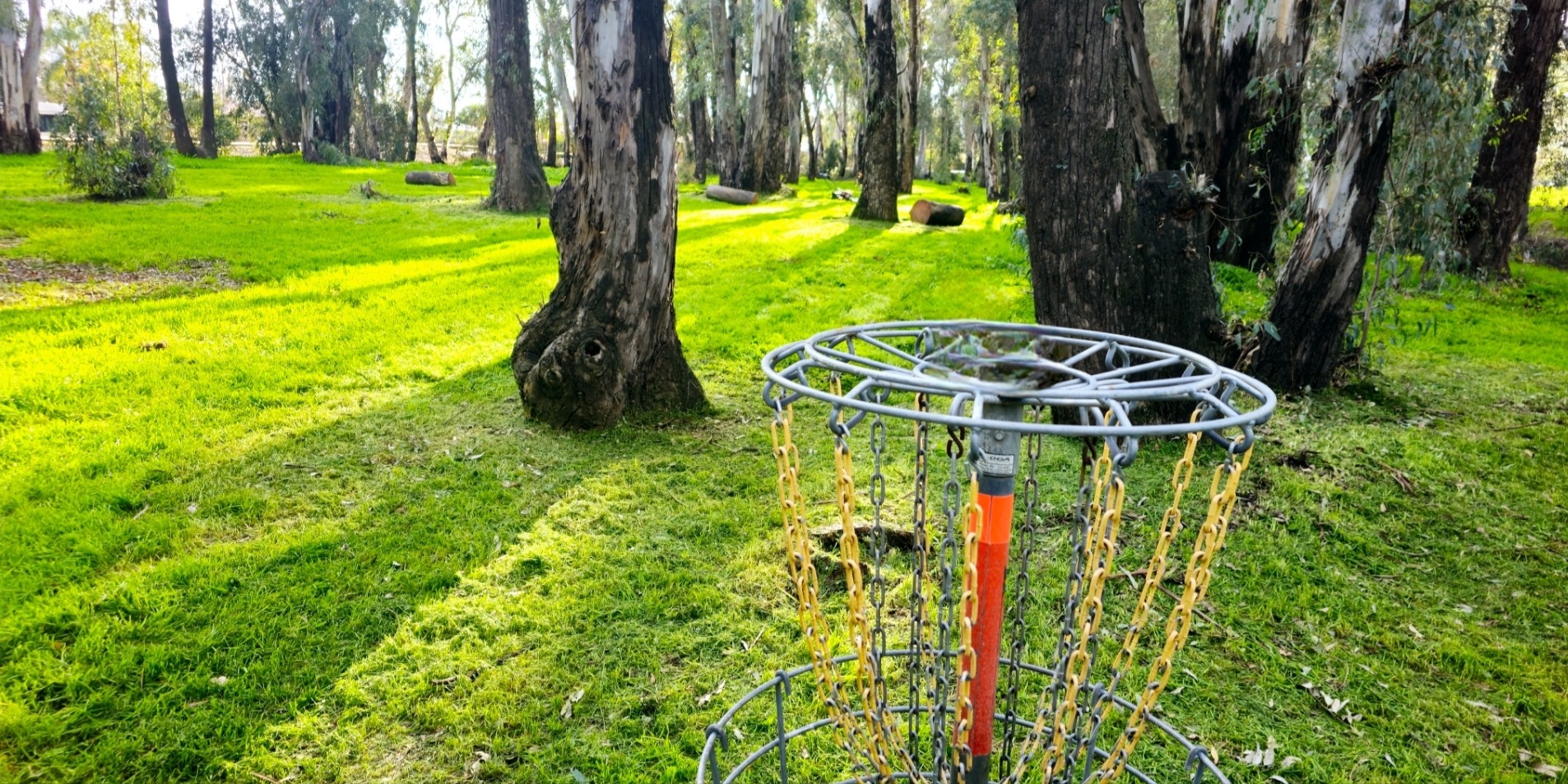 Merced Disc Golf Club - Singles - MERCED DISC GOLF CLUBS WINTER LEAGUE 2024