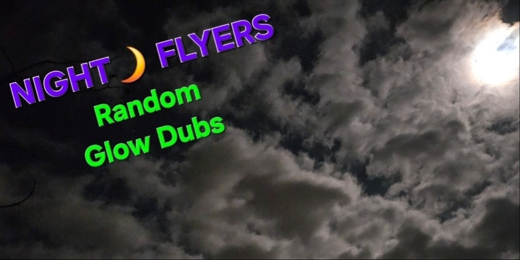 NIGHT FLYERS 🌙 