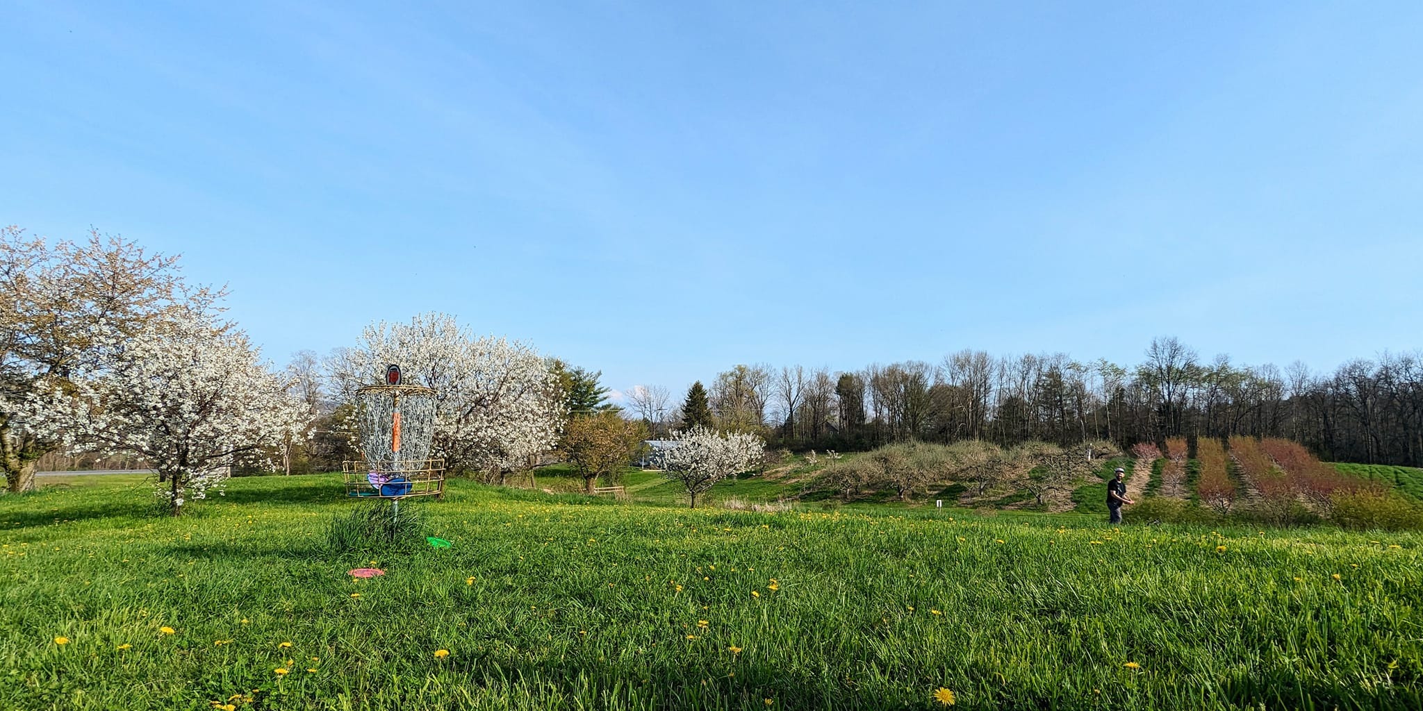 FLX MASTERS - FLX SUNDAY MASTERS