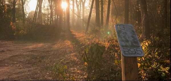 The Fairhope Disc Golf Doubles Toss