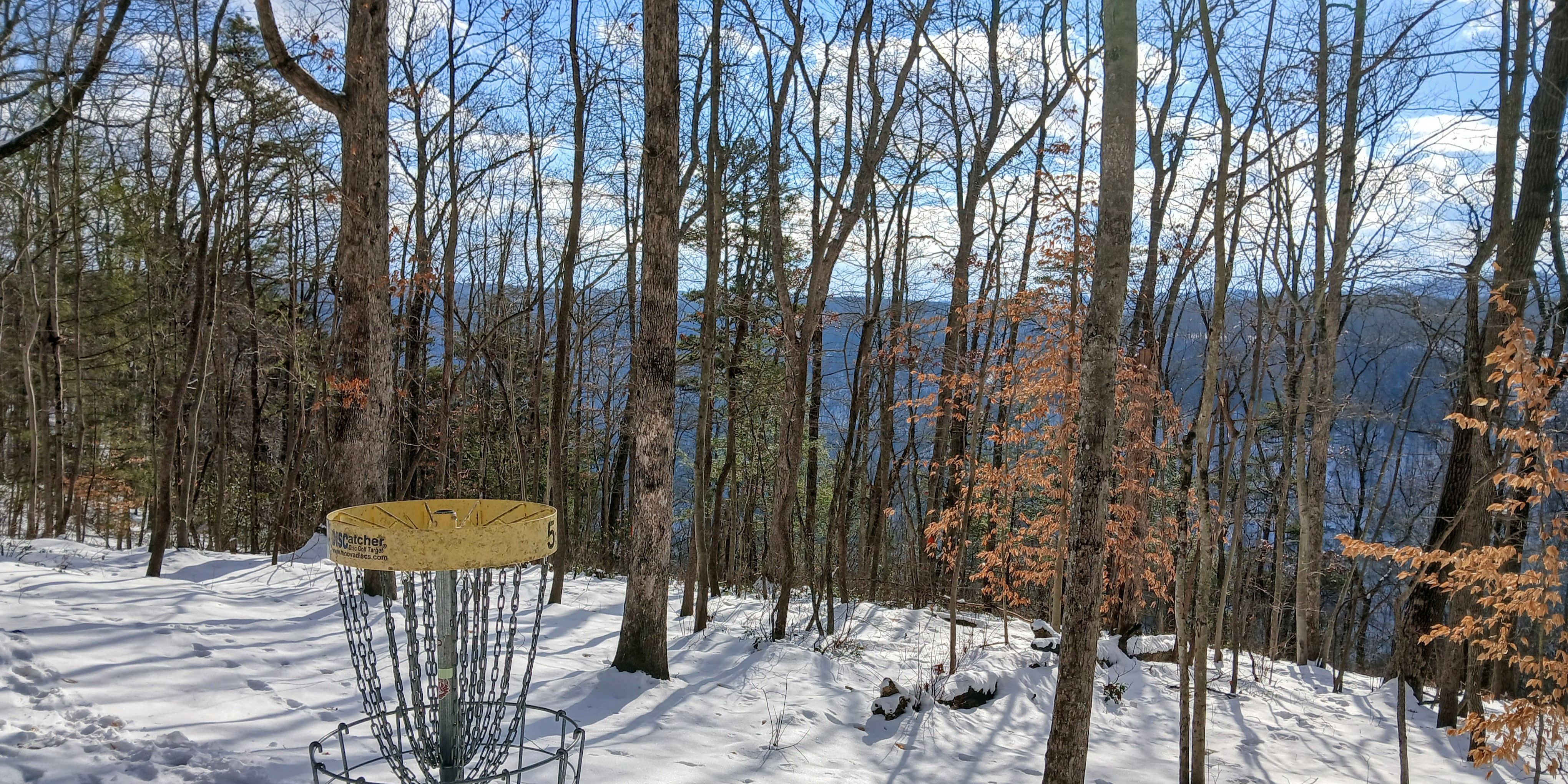 Fayette County Disc Golf - Glow dubs at AOTG