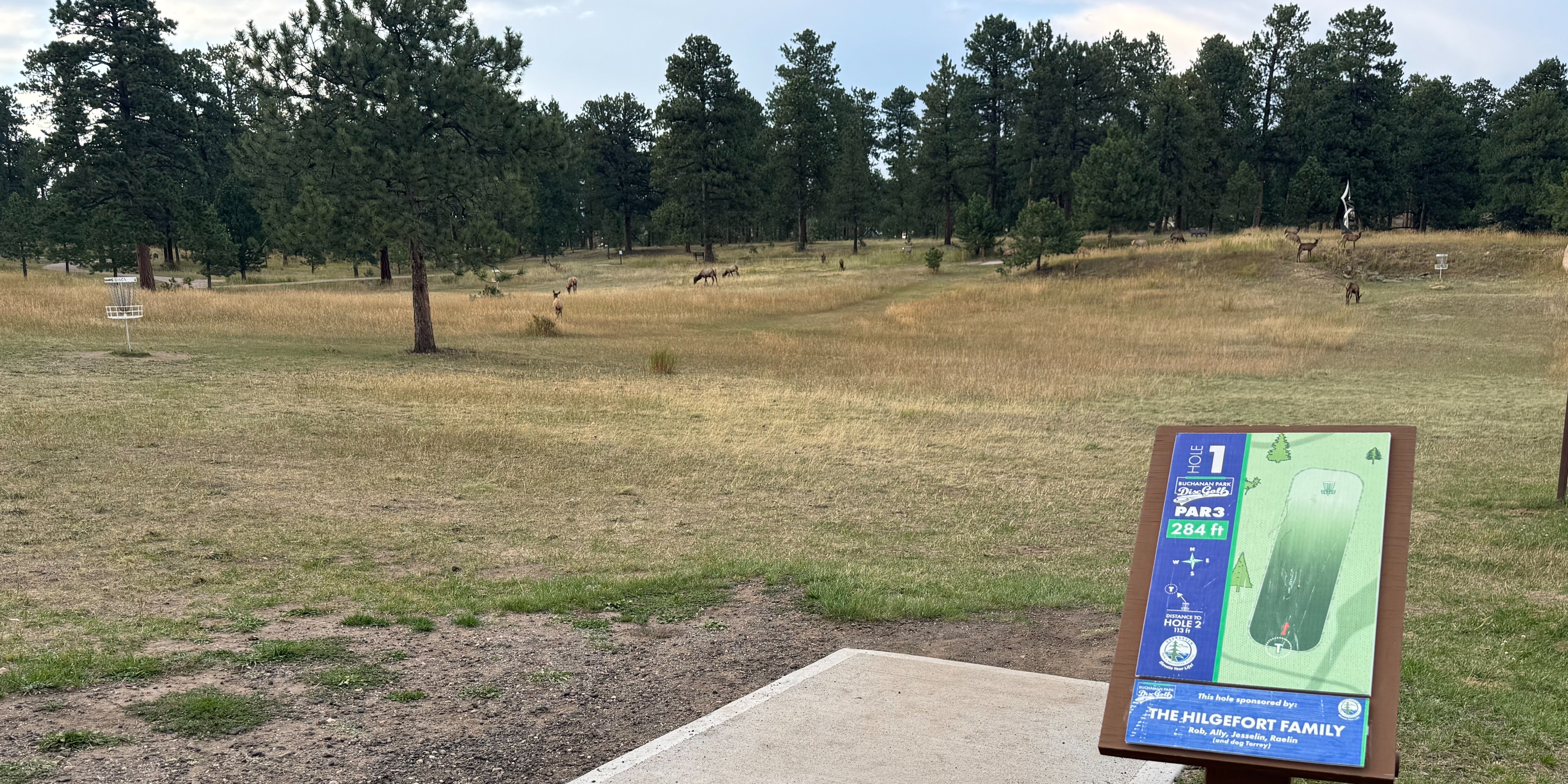 EPRD Social - Park & Flex - Disc Golf Tournament