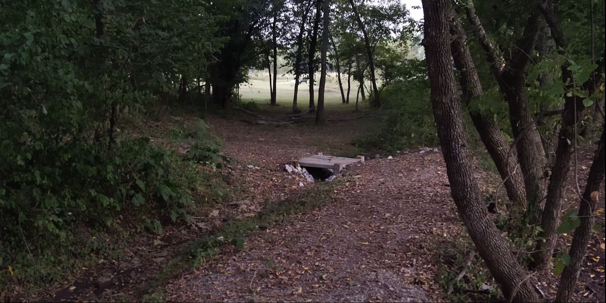 Osage County Disc Golf League - Random dubs