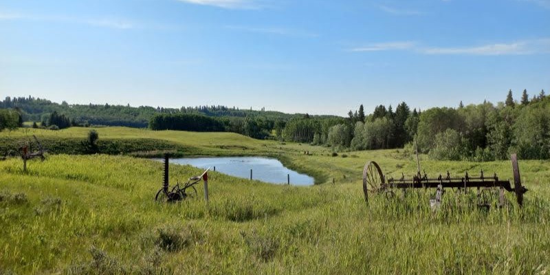 YYC Local Lines League