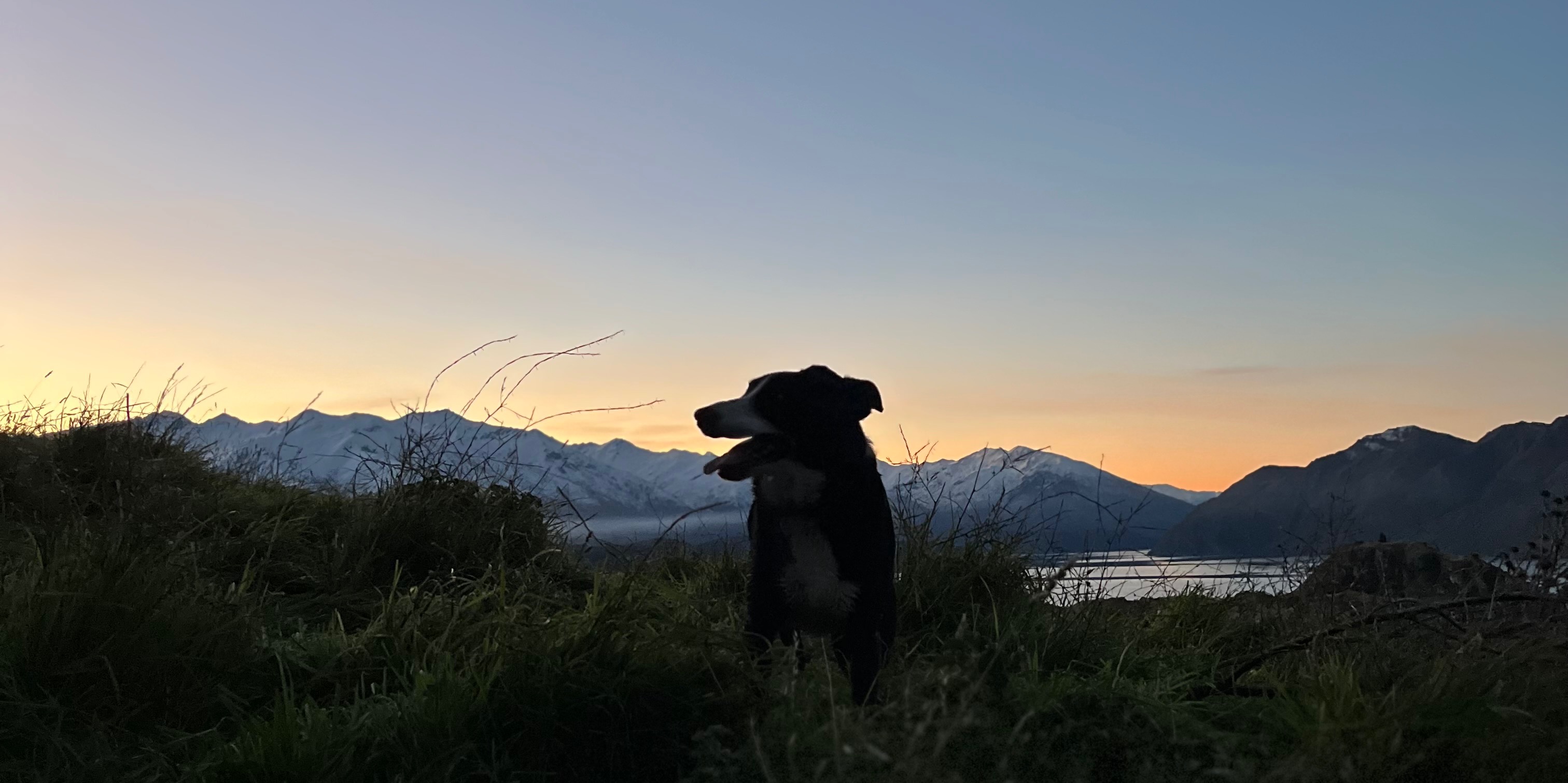 Wānaka Weekly League 