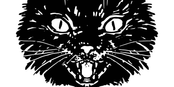 Creatures of the Night