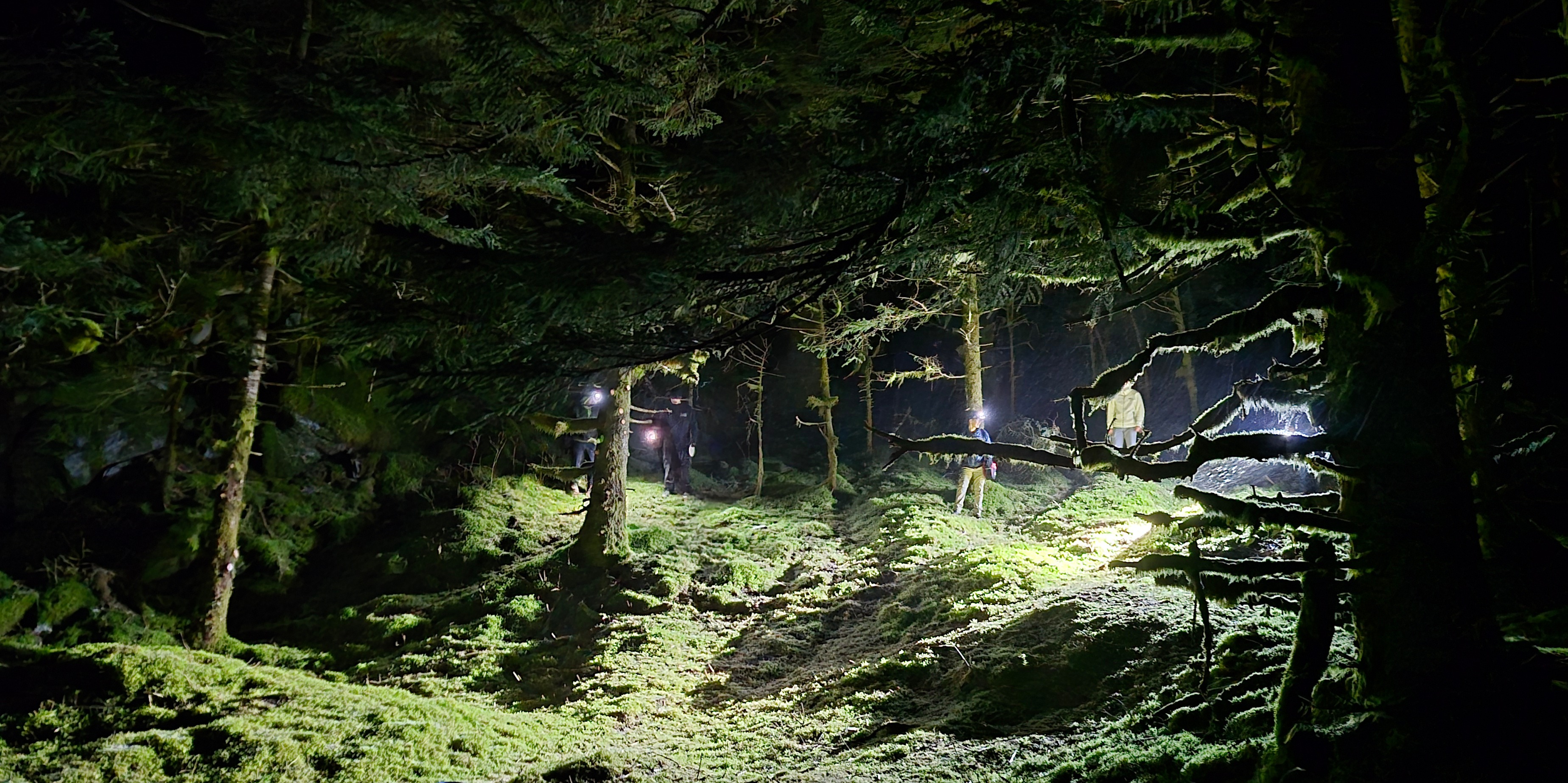 Kodiak Disc Golf Masters - Kodiak Disc Golf Masters