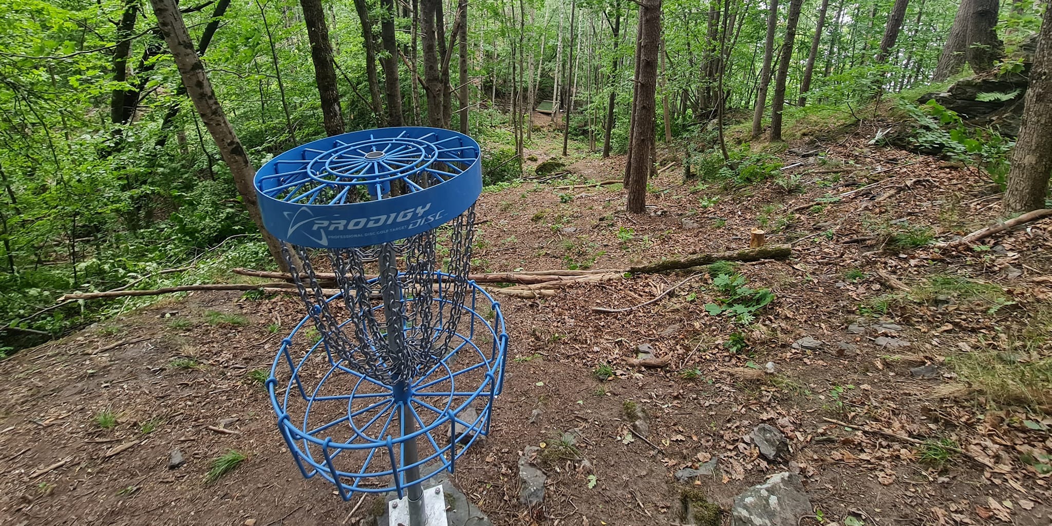 Studsdalen ukeflex 2026 - runde 1 (uke 14)