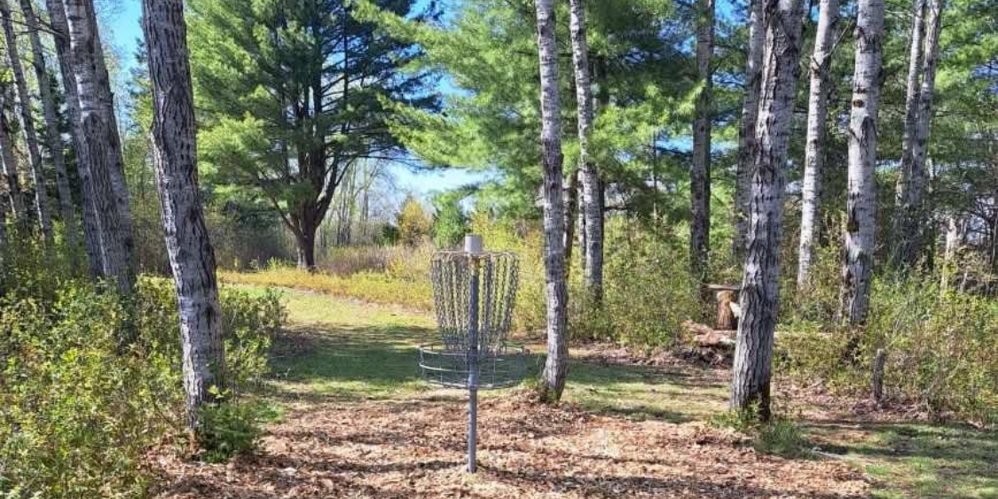 Algonquin Disc Golf Women’s League - Algonquin Disc Golf Women’s League