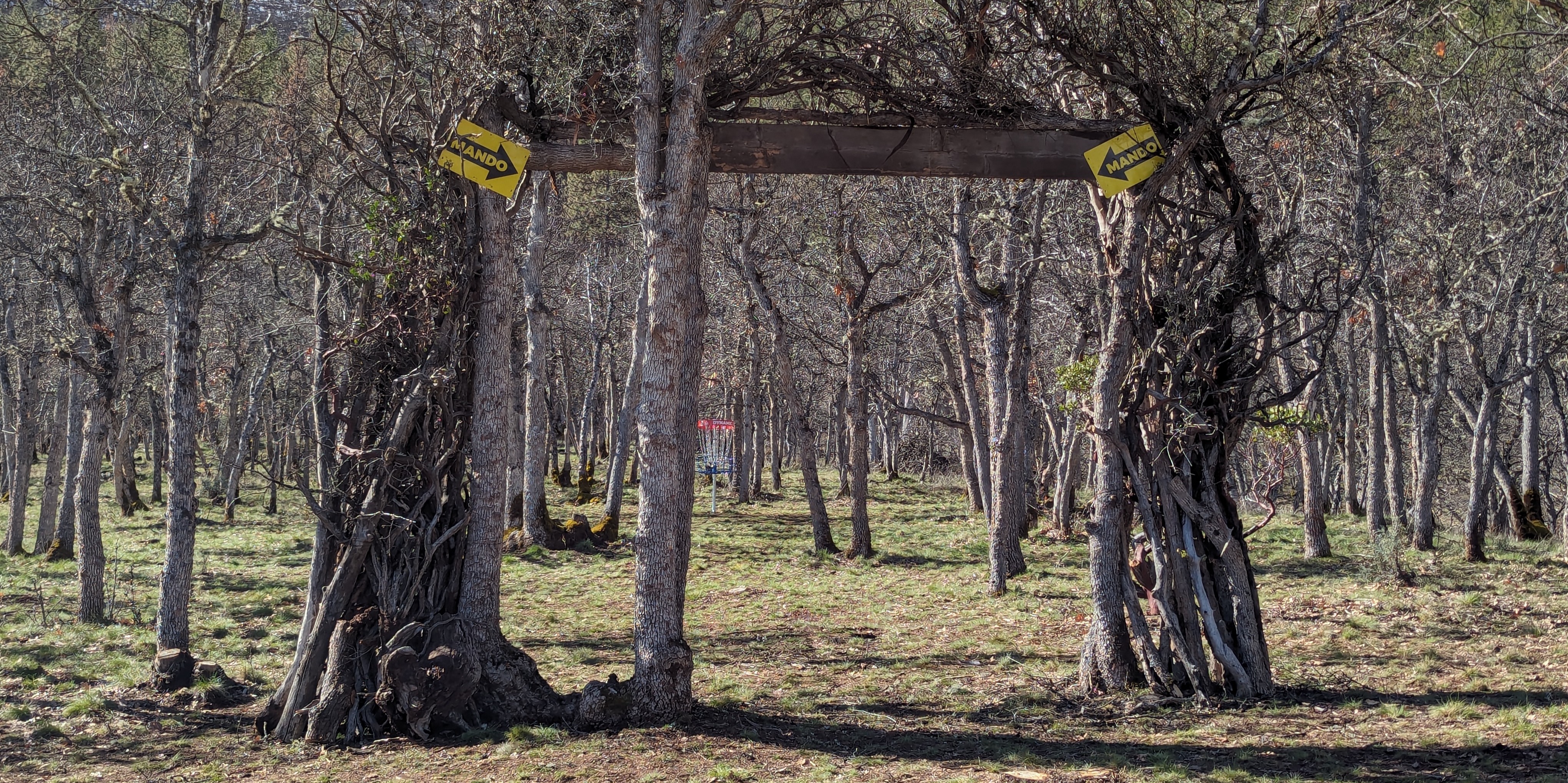 Greenhorn Disc Golf Club weekly 