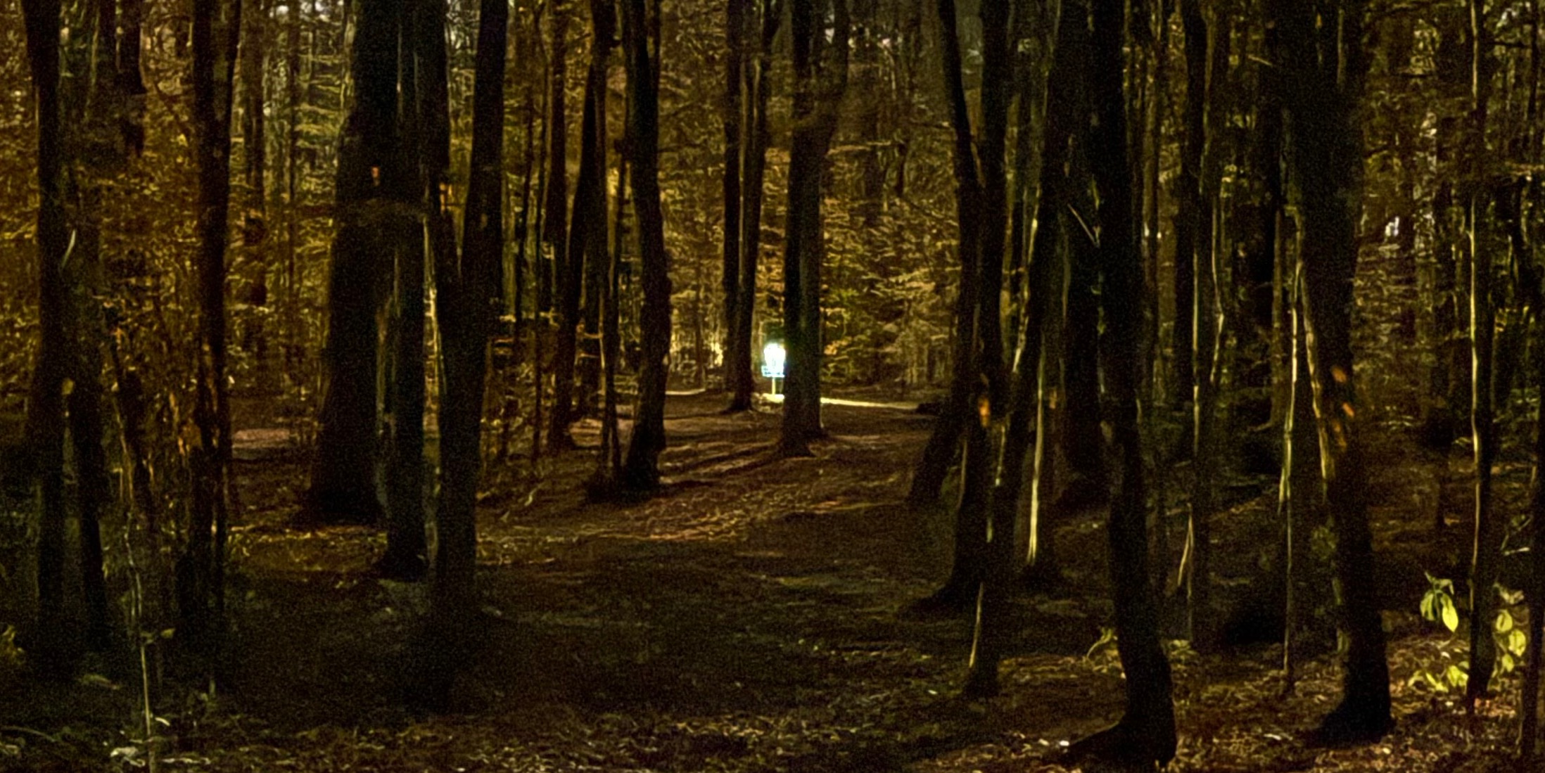 GloDubs - GloDubs Wk 2