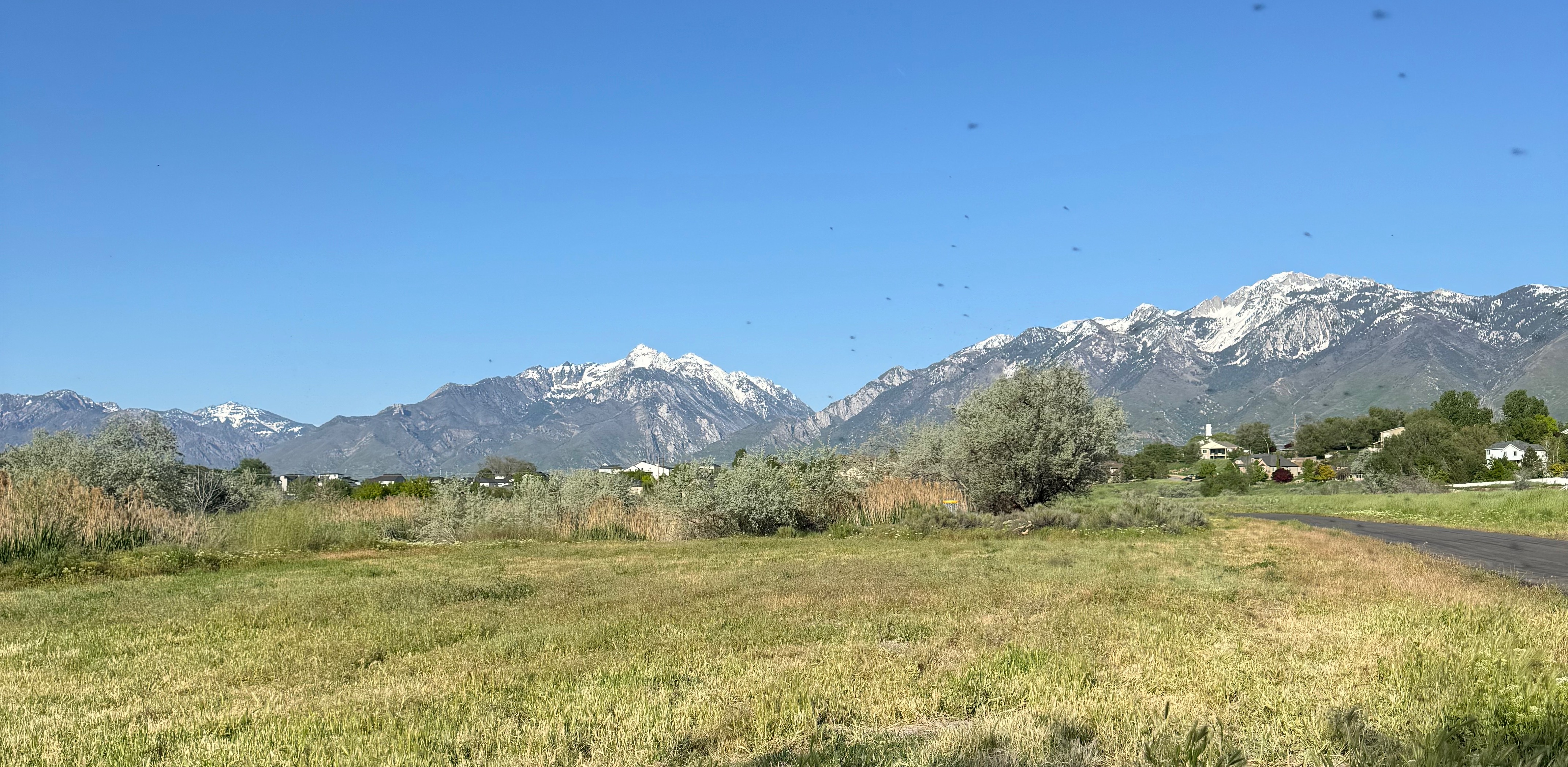 ElevateUT Singles League - Soft Launch