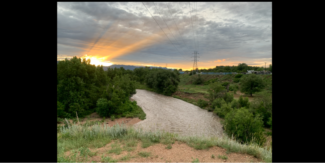 PPFDC Aviary Singles League - Sunday 9:30am 🥏 Aviary Singles