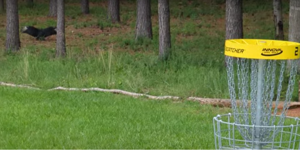 Eastwood Disc Golf League - 1st & 3rd Thursday Night Glow Doubles