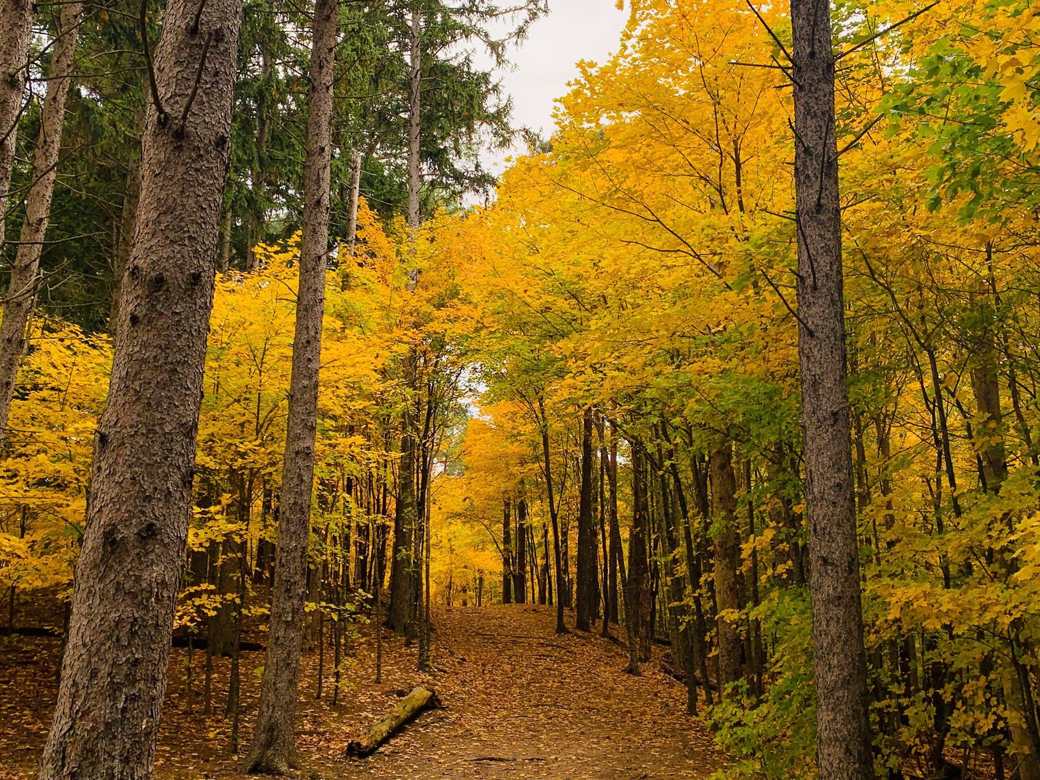 2025 Shore Acres League