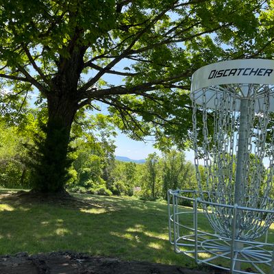 Skywood DGC - Thursday tags at Skywood