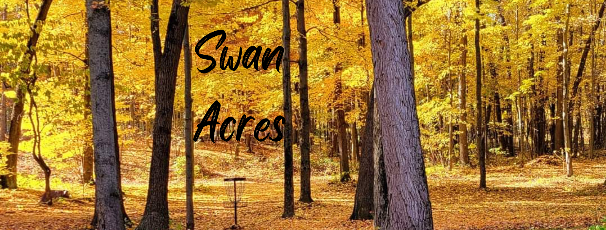 Swan Acres - Swan Acres Summer League 2024 | Saranac, MI | UDisc Events