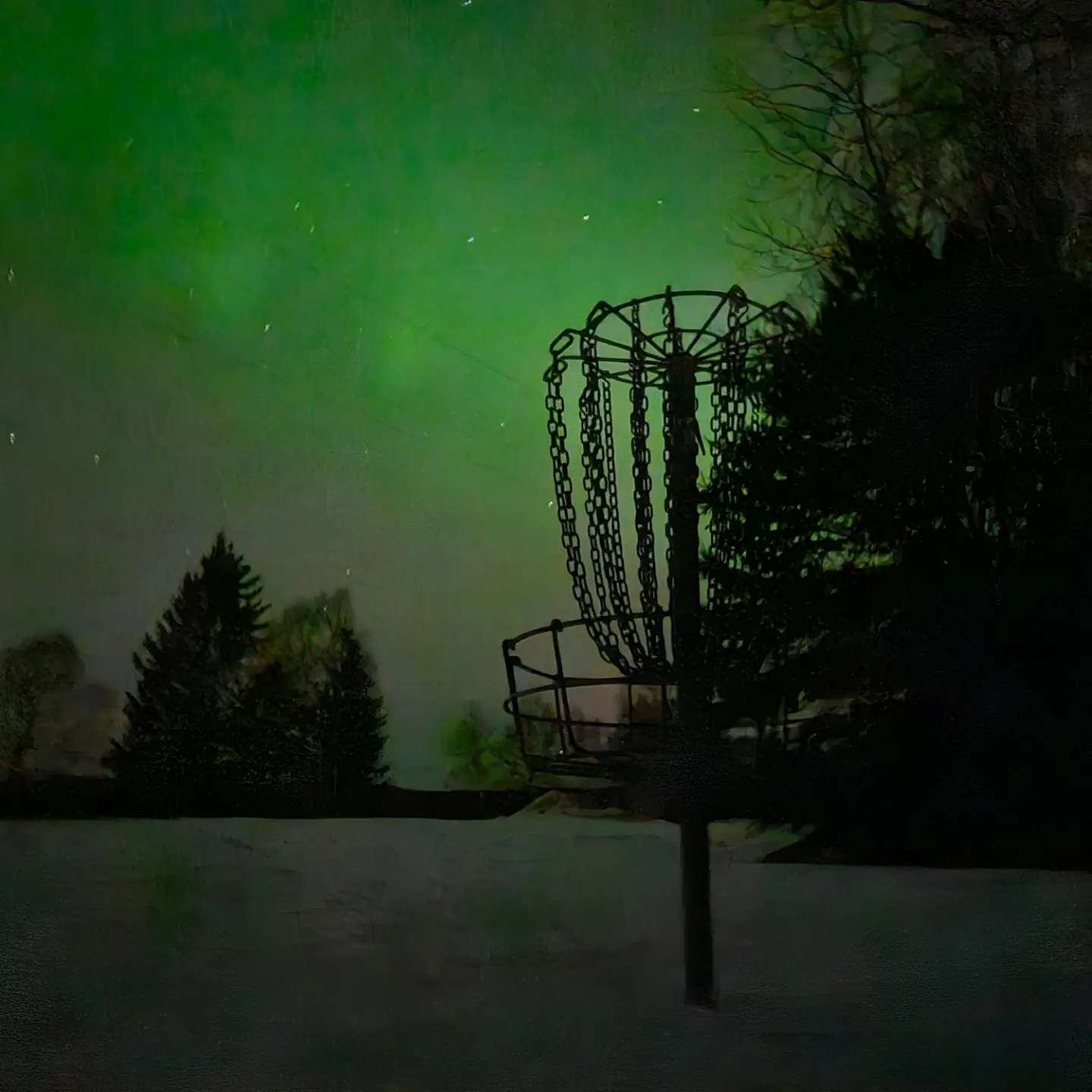 Algonquin Disc Golf club - 2025 league