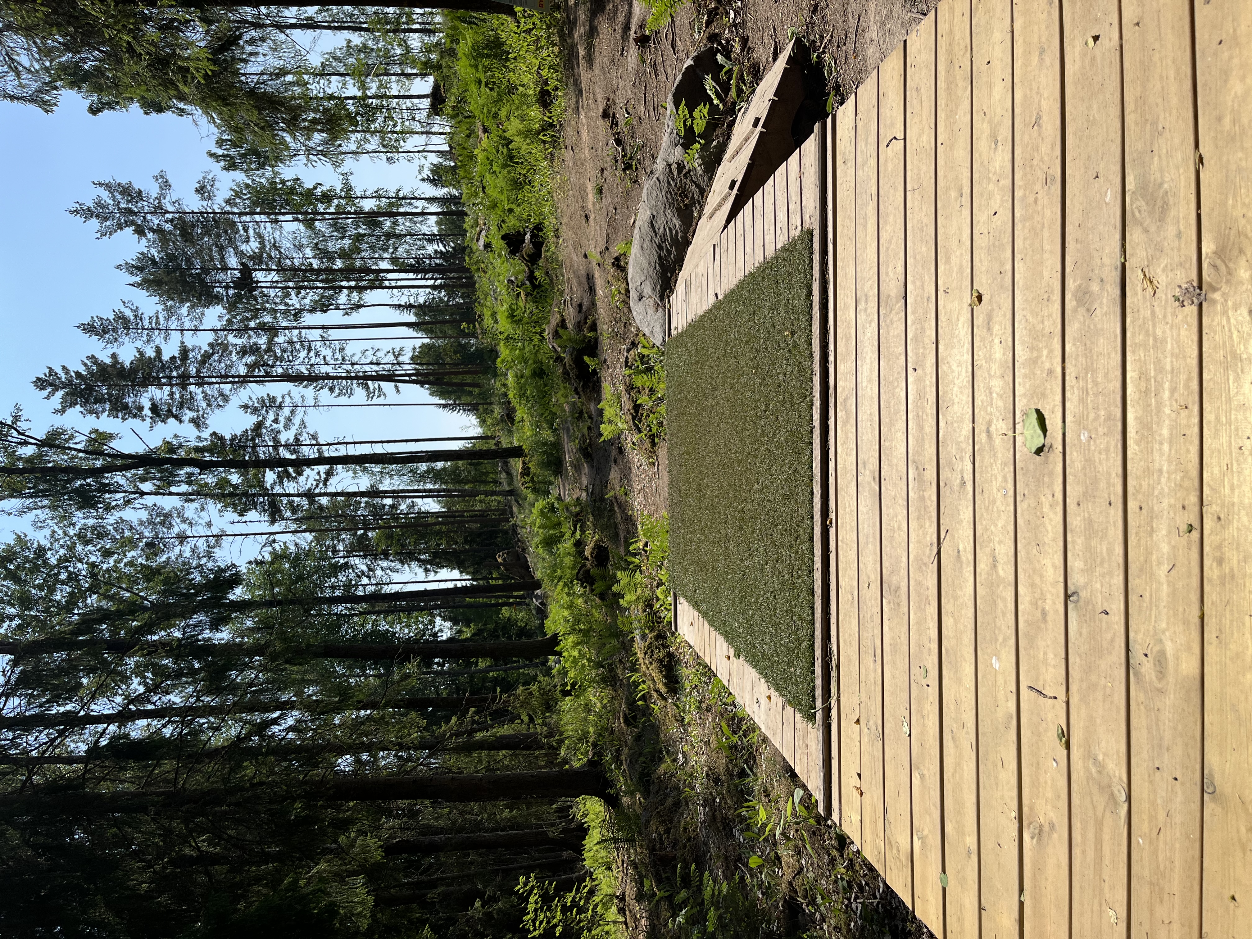 Skogsdubbeln Stimmerbo