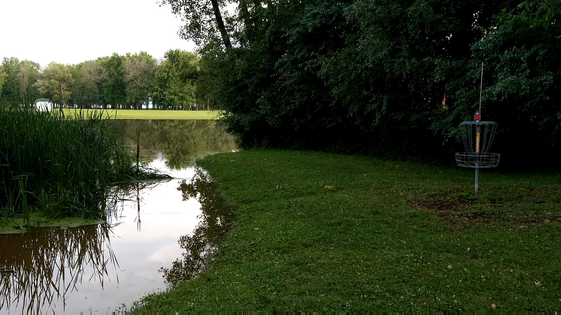 Emerson Random Draw - Emerson Random Draw - Fall Back