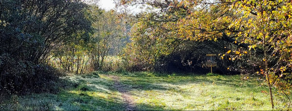Rennes Discgolf - Ligue de printemps 2023
