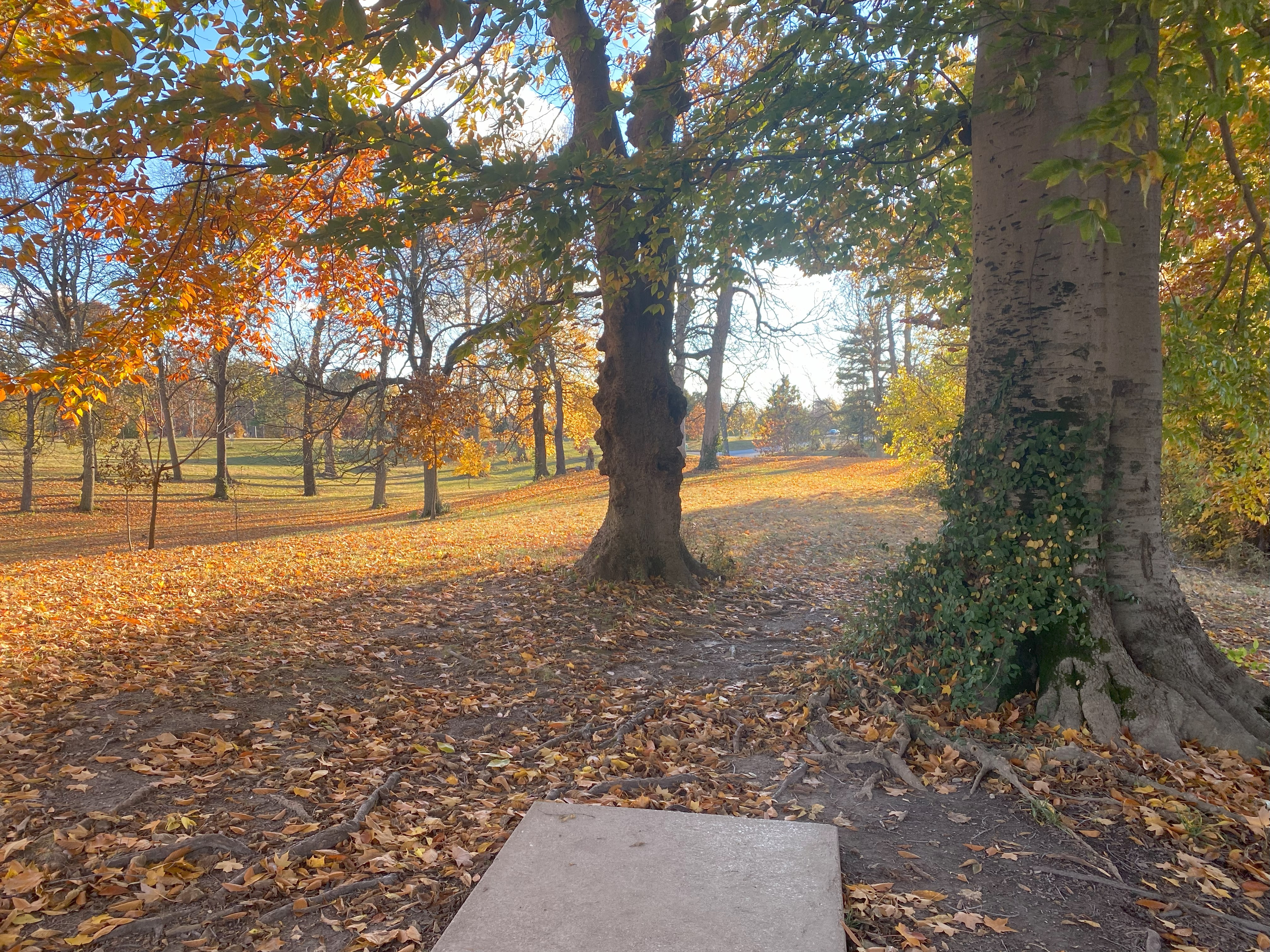 IDGC Washington Park Handicap - Indy Elo Beta