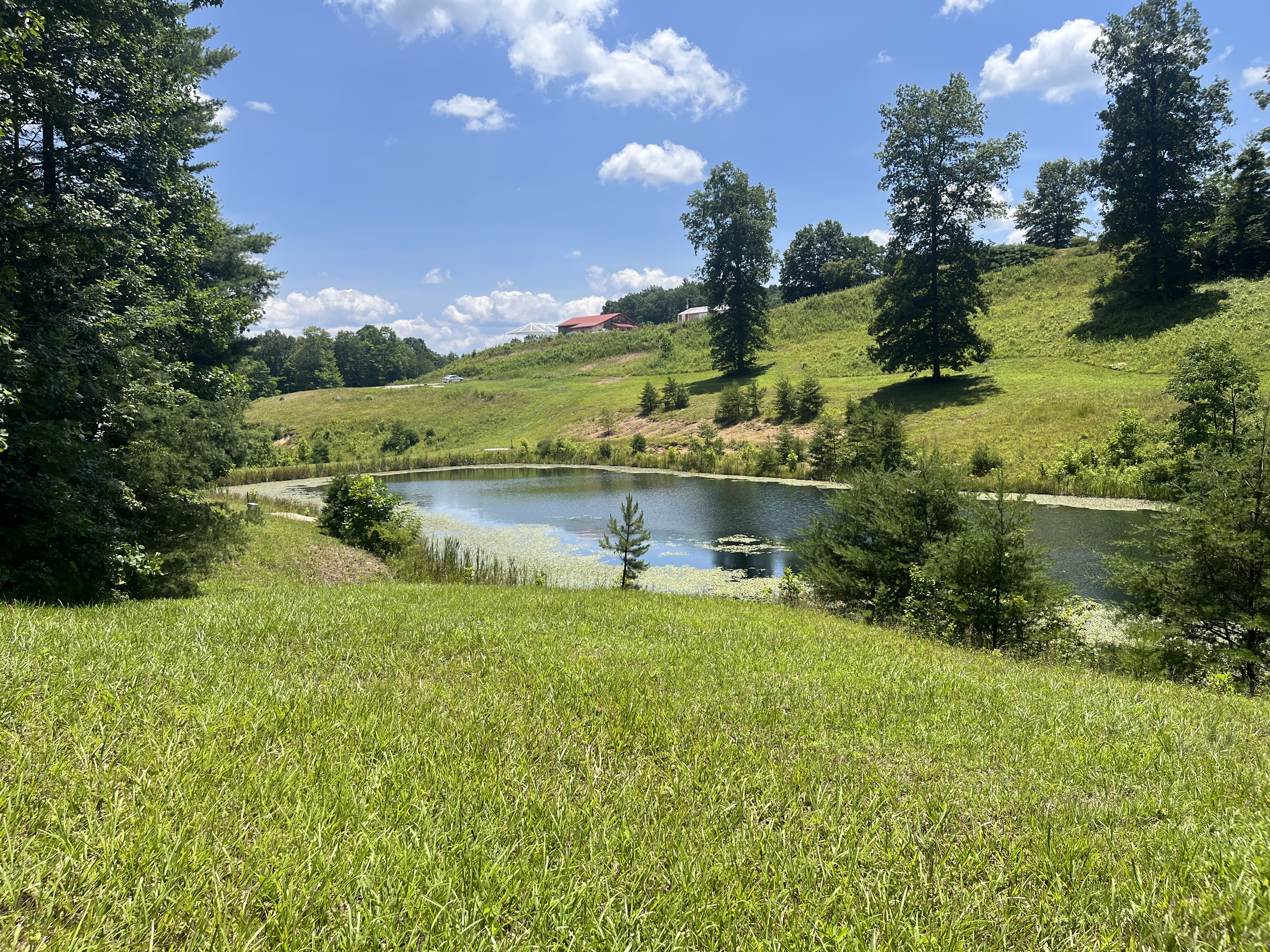 Redpoint development league - Redpoint Development League Week 4